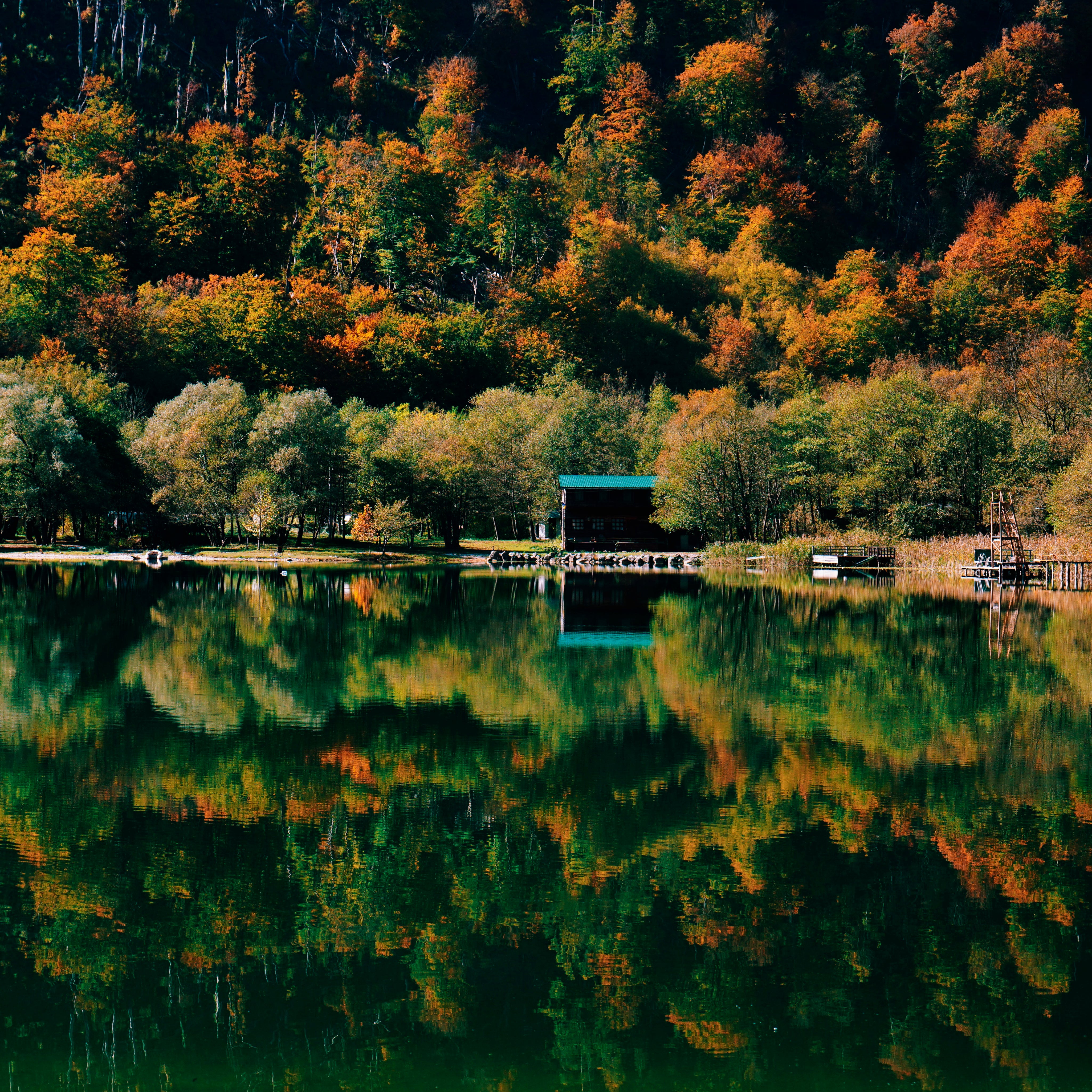 Between trees and water
