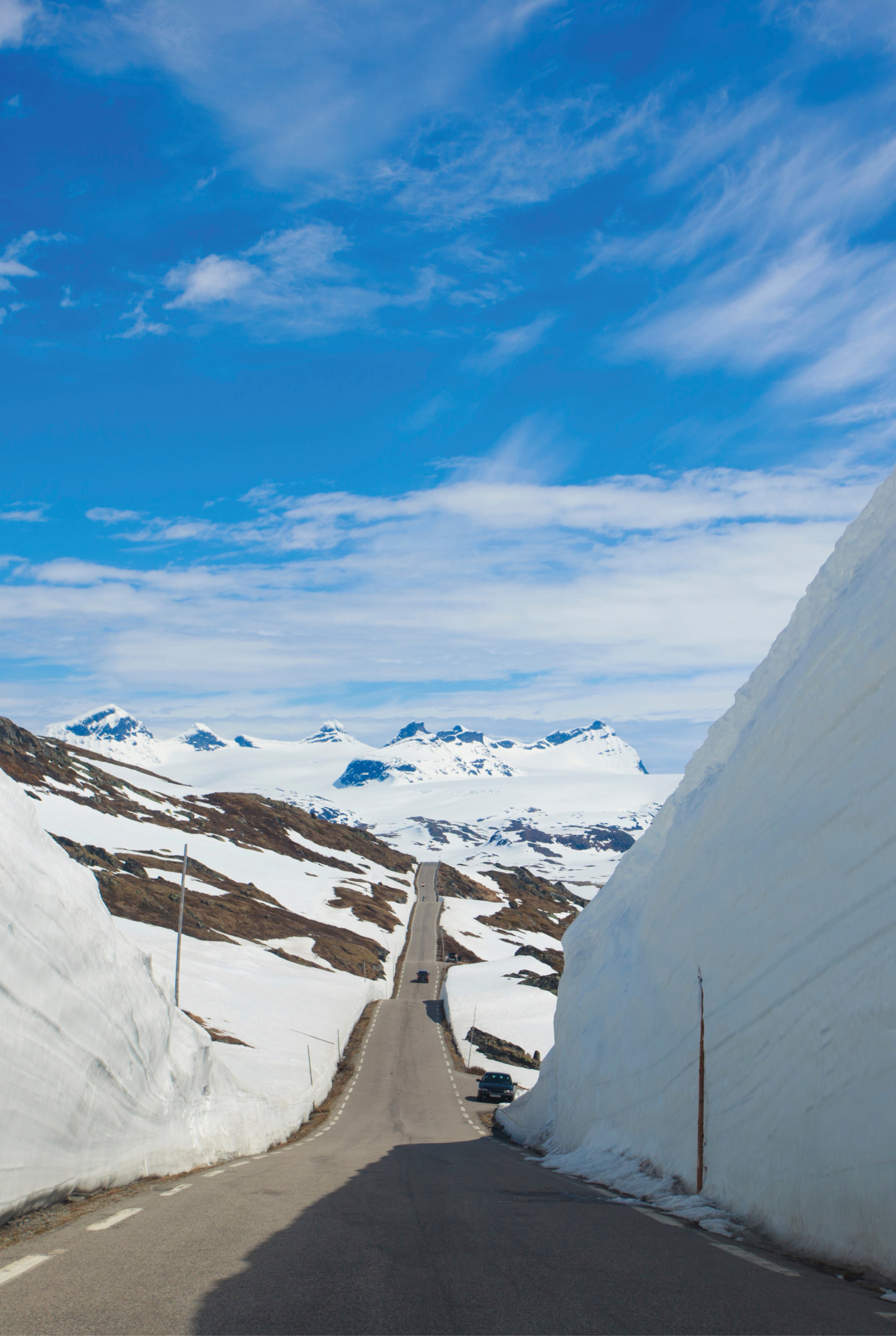 Between white giants