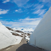 Between white giants