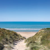 Beyond the dunes