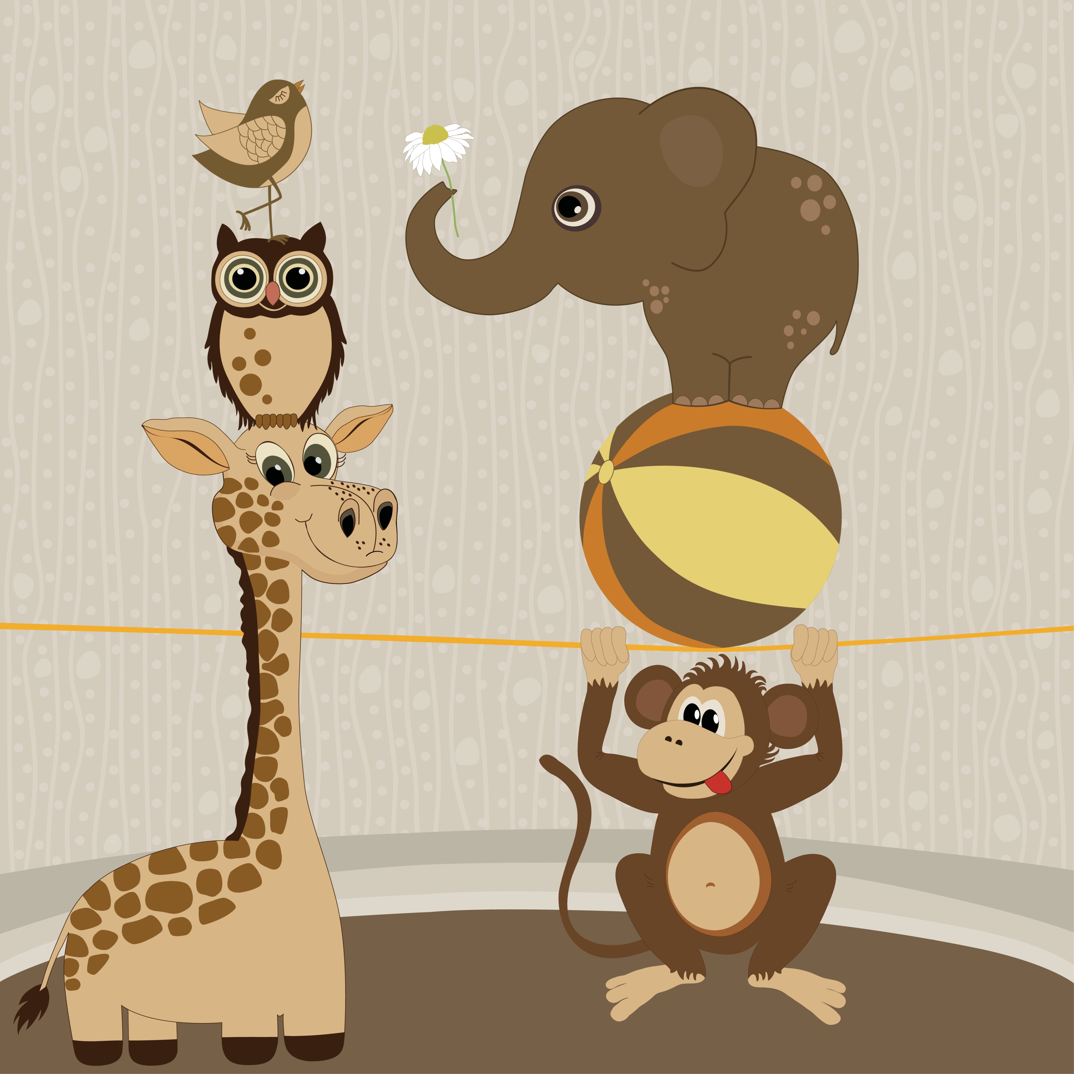 Birdcircus