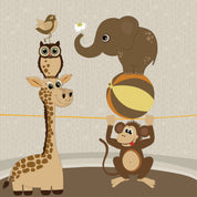 Birdcircus