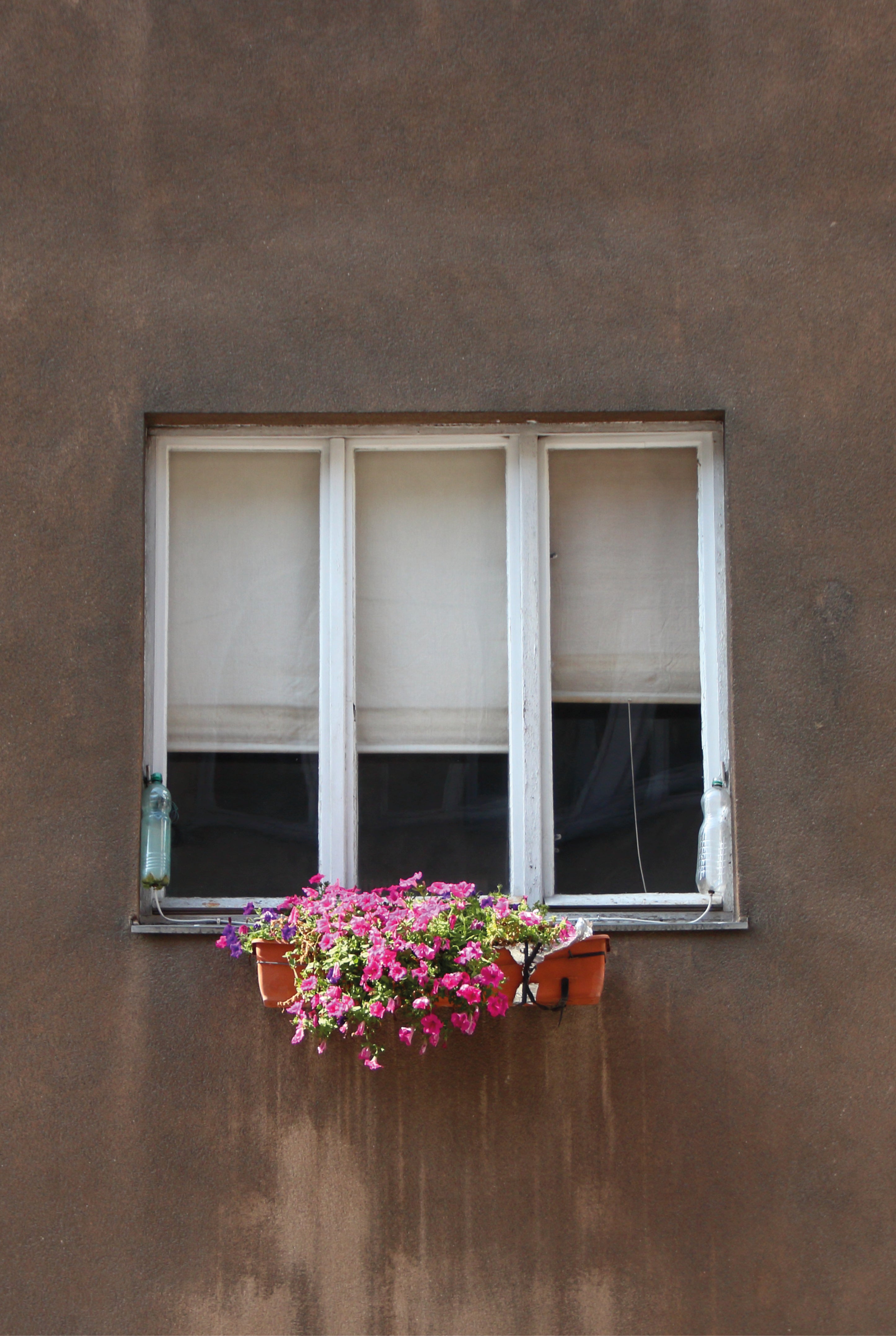 Bloom break