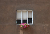 Bloom break