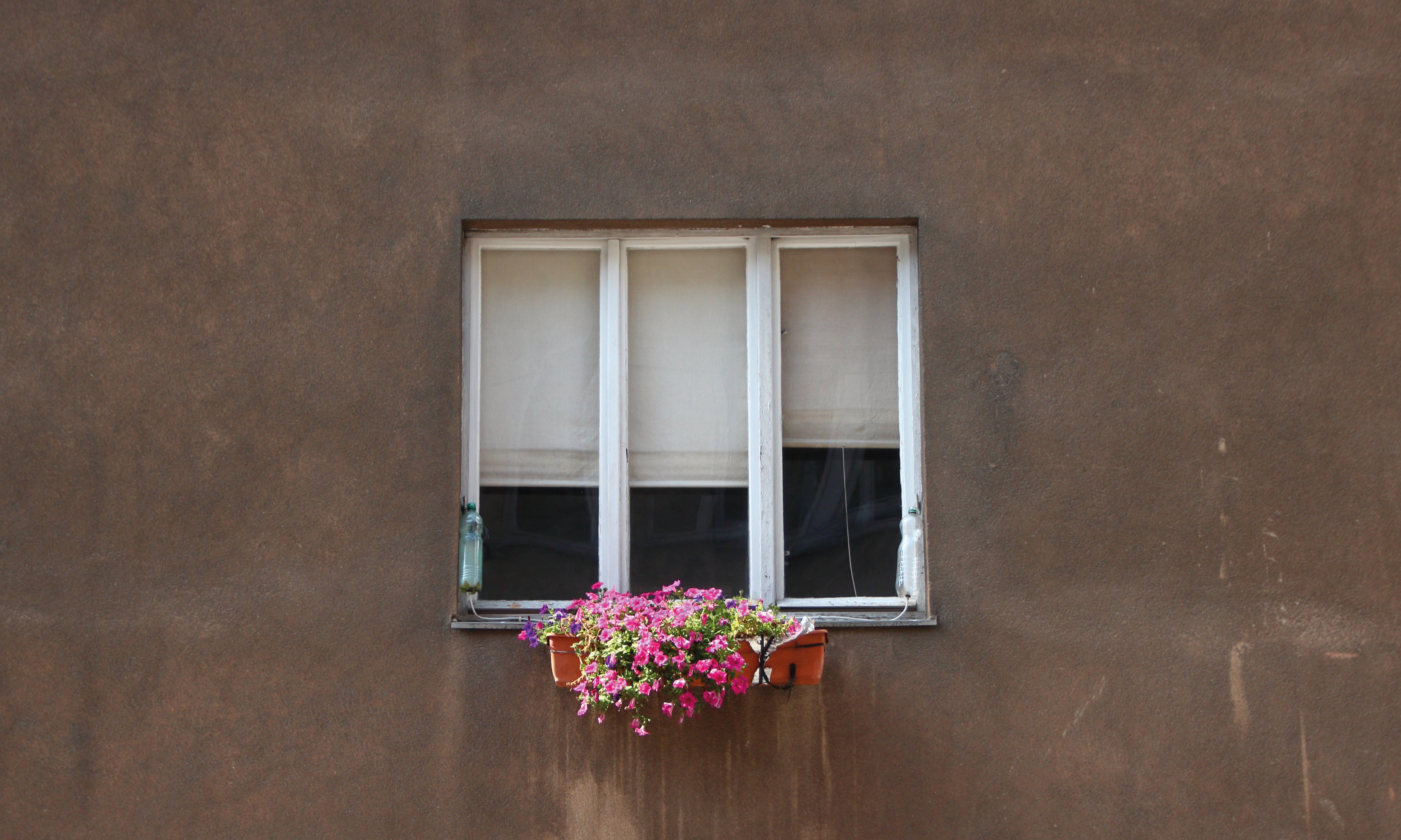 Bloombreak-120x80cm.jpg