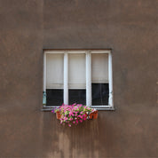 Bloom break