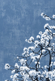 Bloom in blue