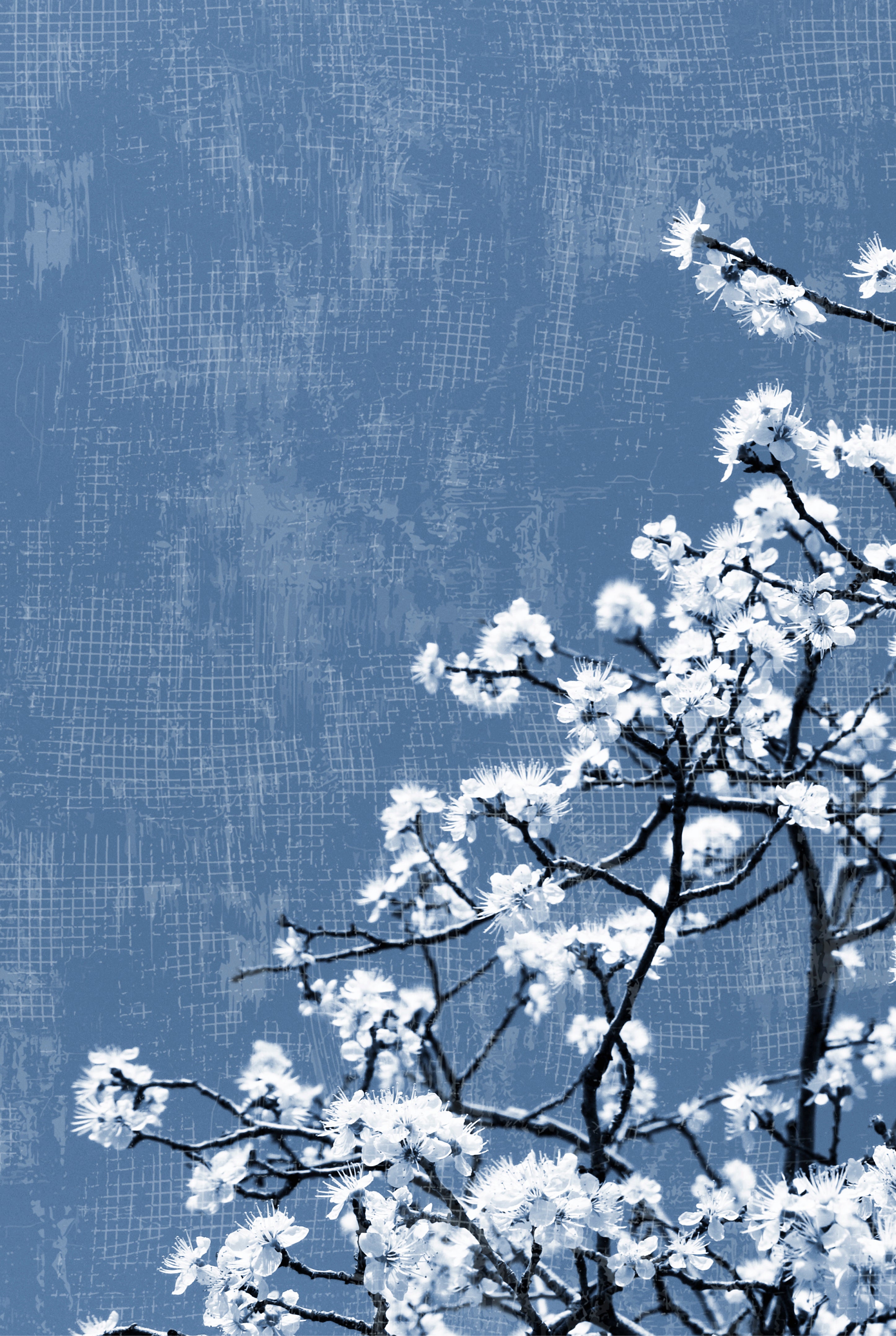 Bloom in blue