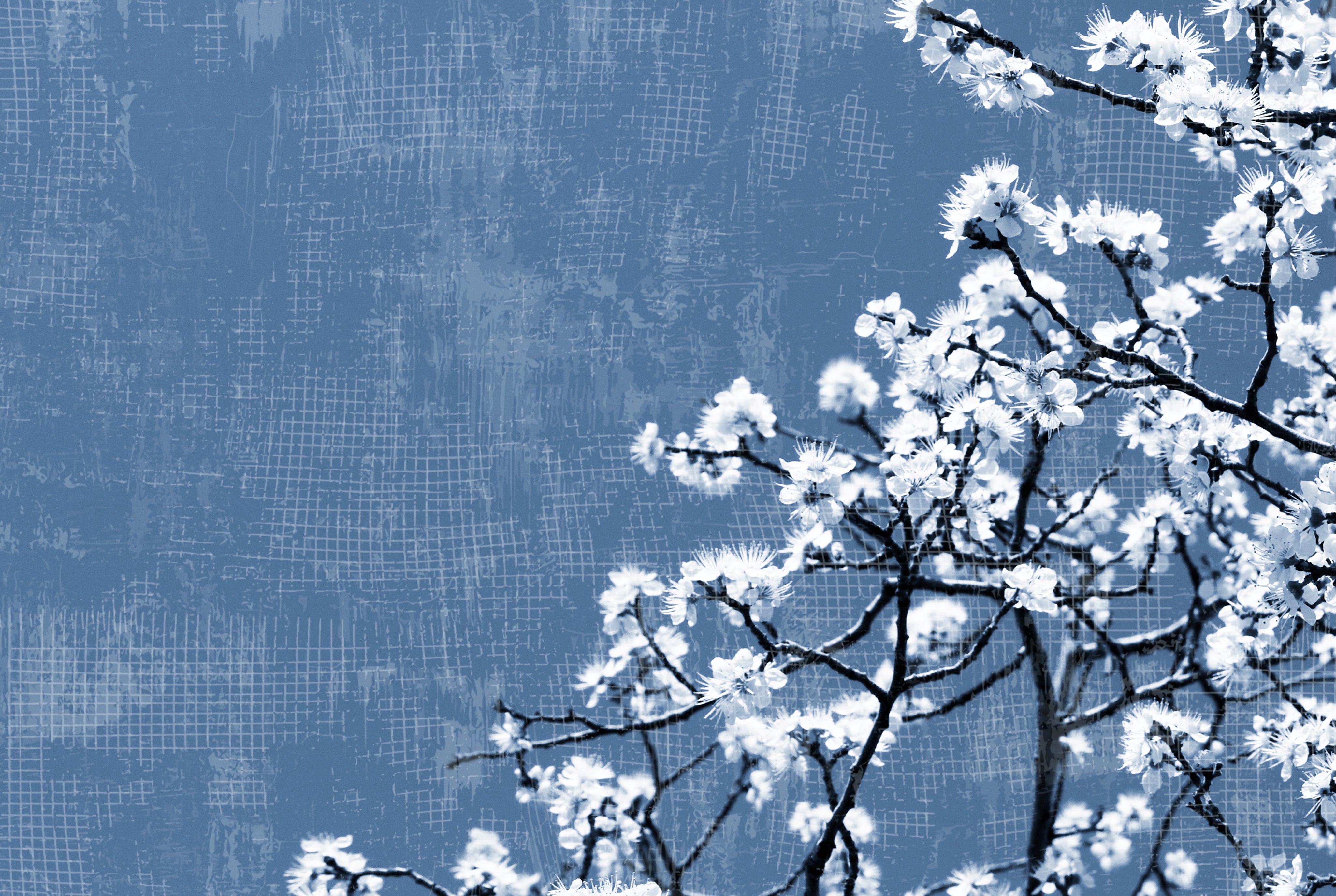 Bloom in blue