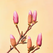 Bloom in waiting