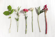 Bloomset