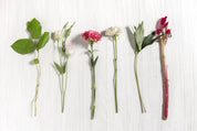 Bloomset