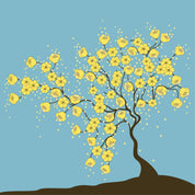 Blossomrise