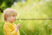 Blowing wishes