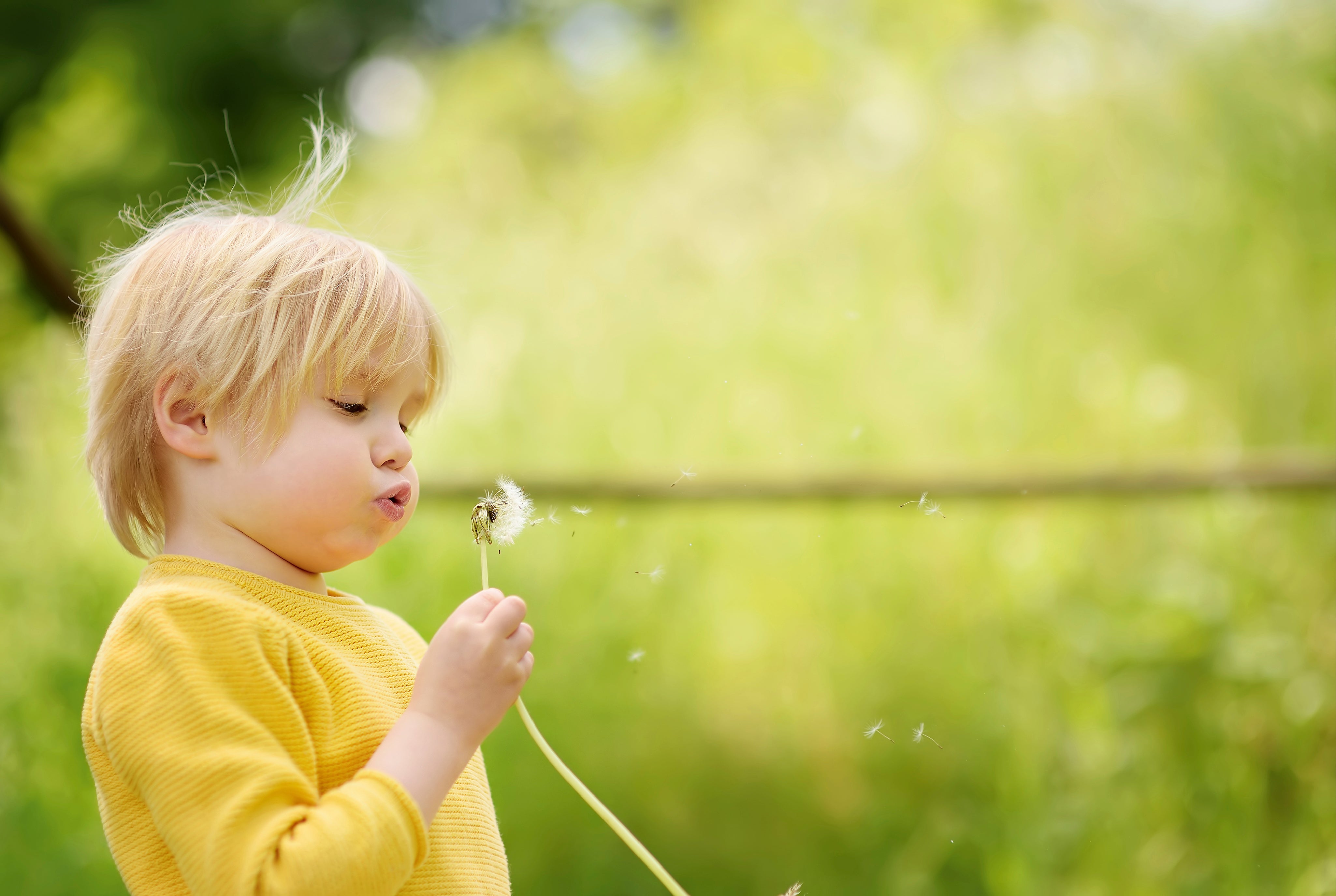 Blowing wishes