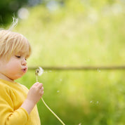 Blowing wishes