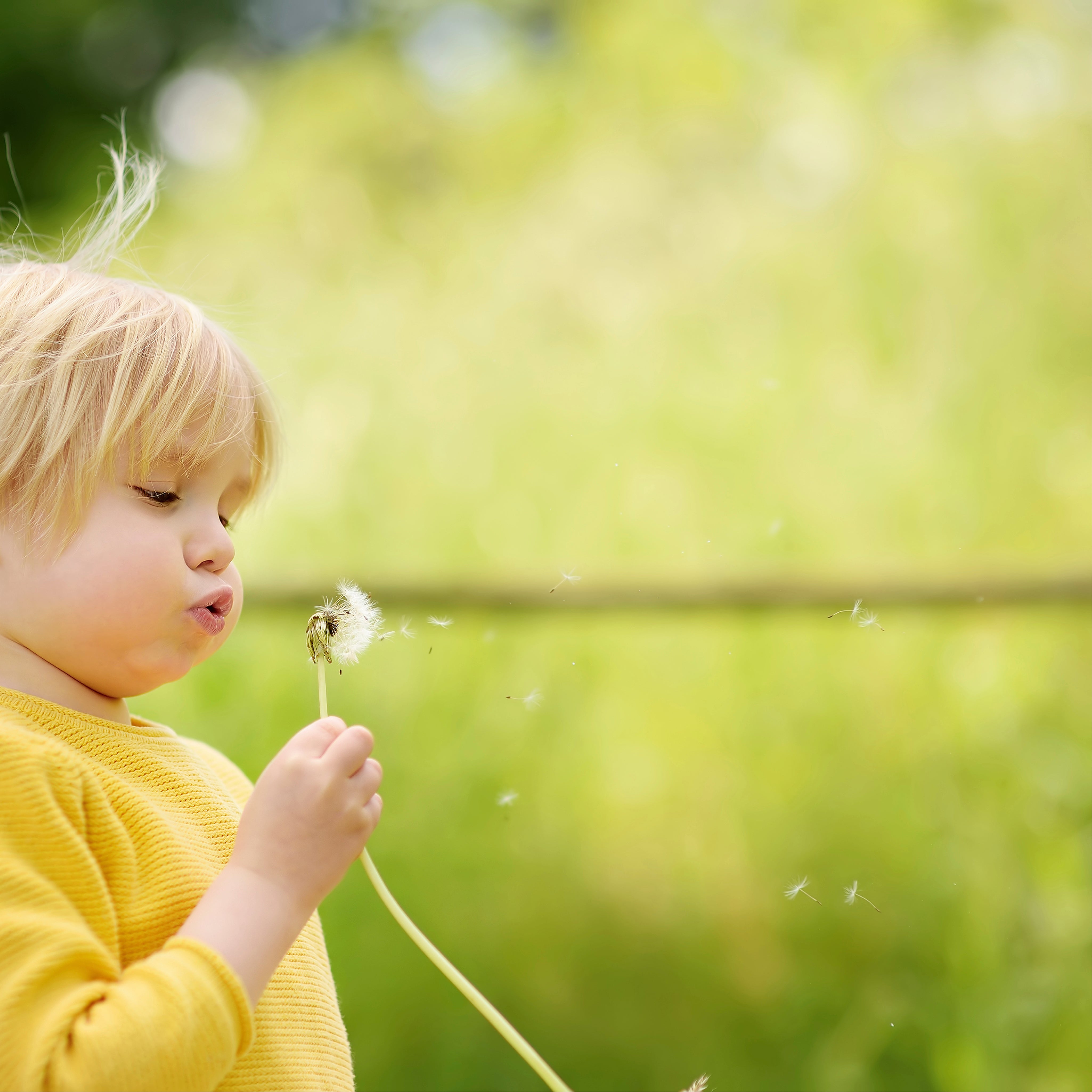 Blowing wishes