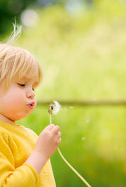 Blowing wishes