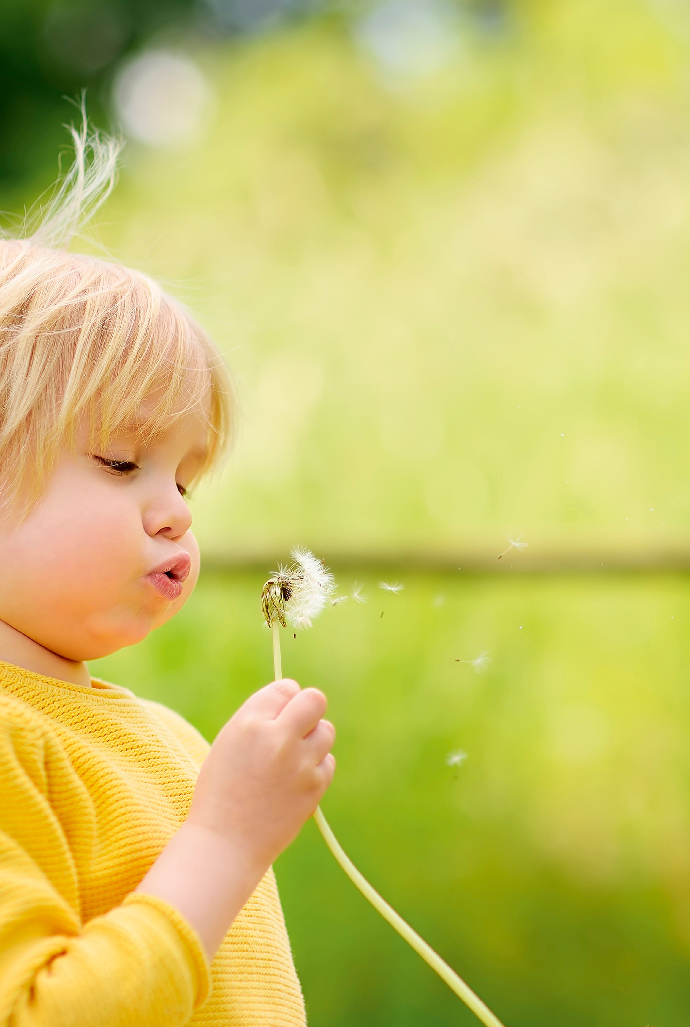 Blowing wishes