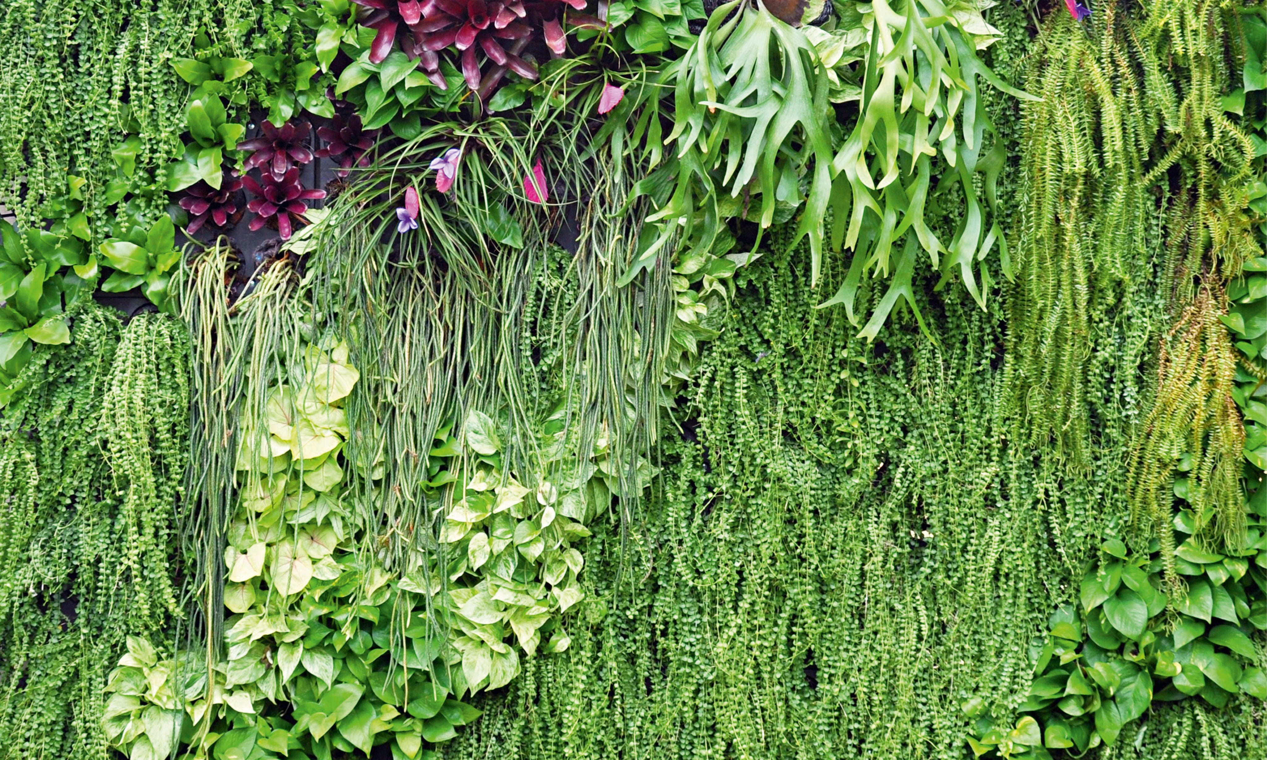 Botanicalblend-150x100cm.jpg