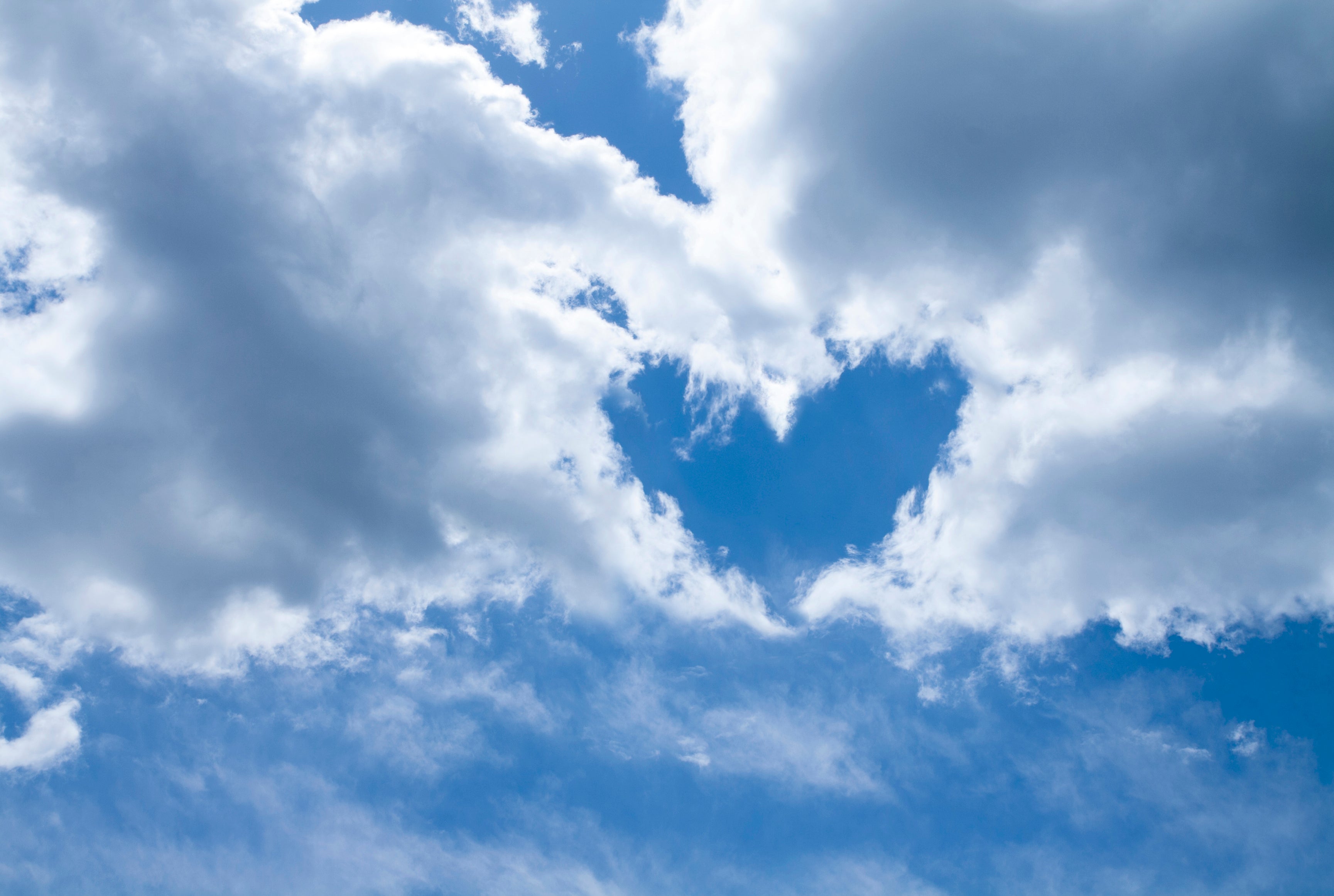 Boundlessheart-120x80cm.jpg