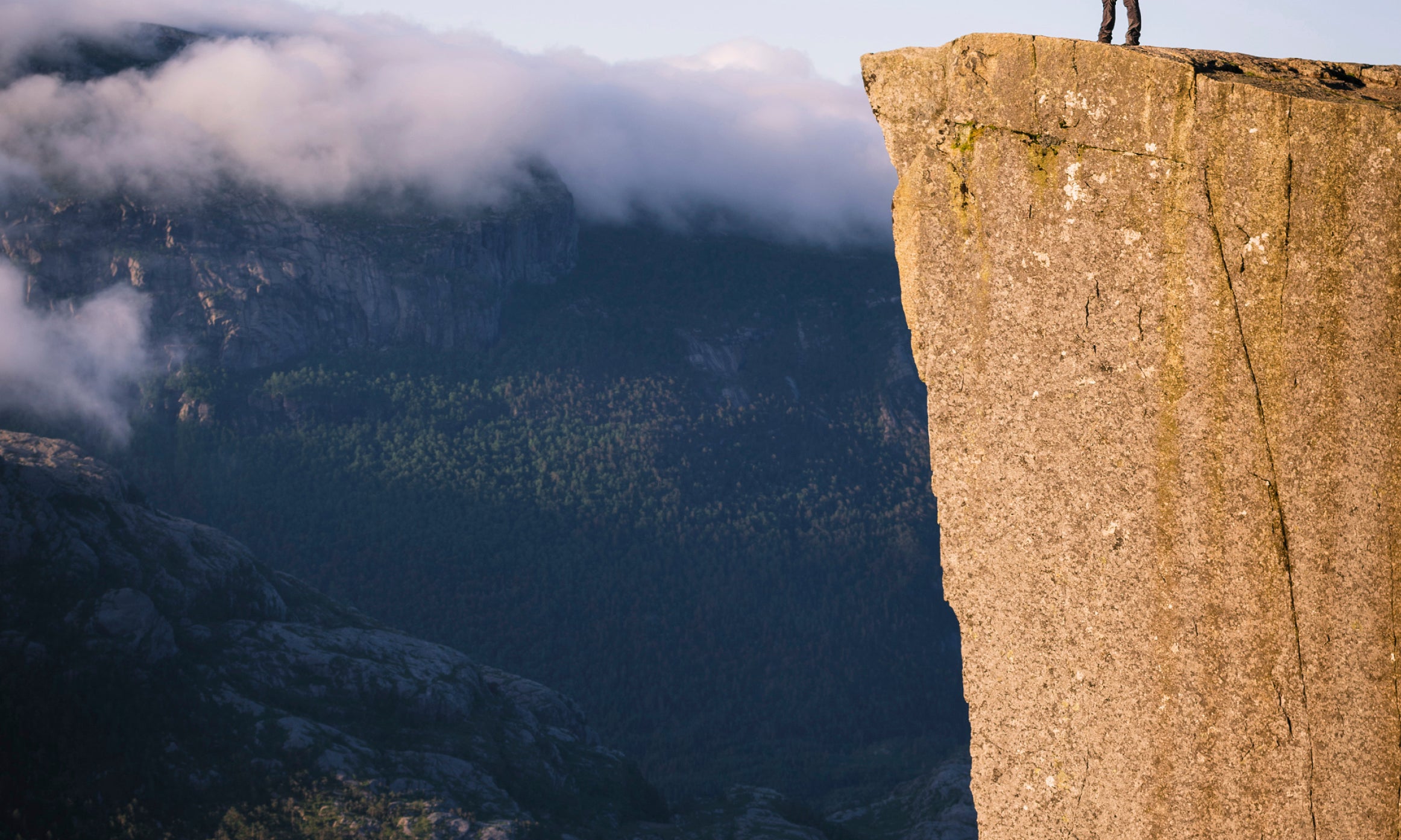 Braveryattheedge-80x120cm.jpg