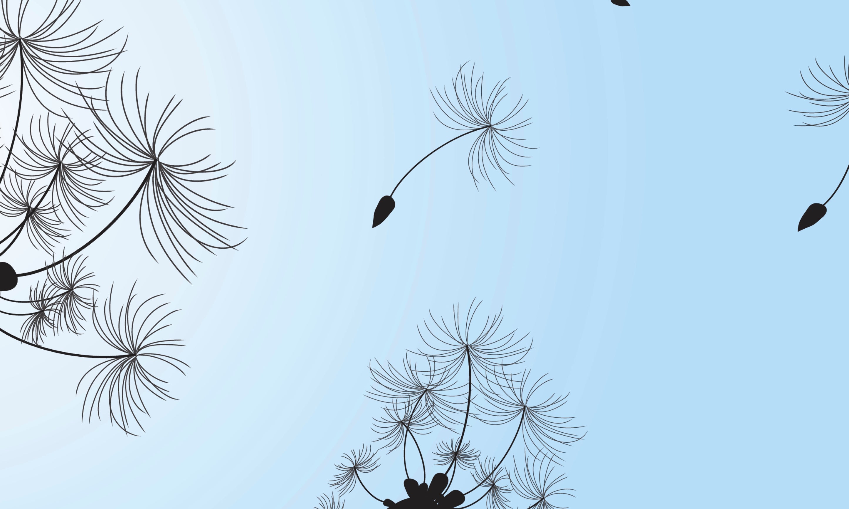 Breezeofwishes-100x150cm.jpg