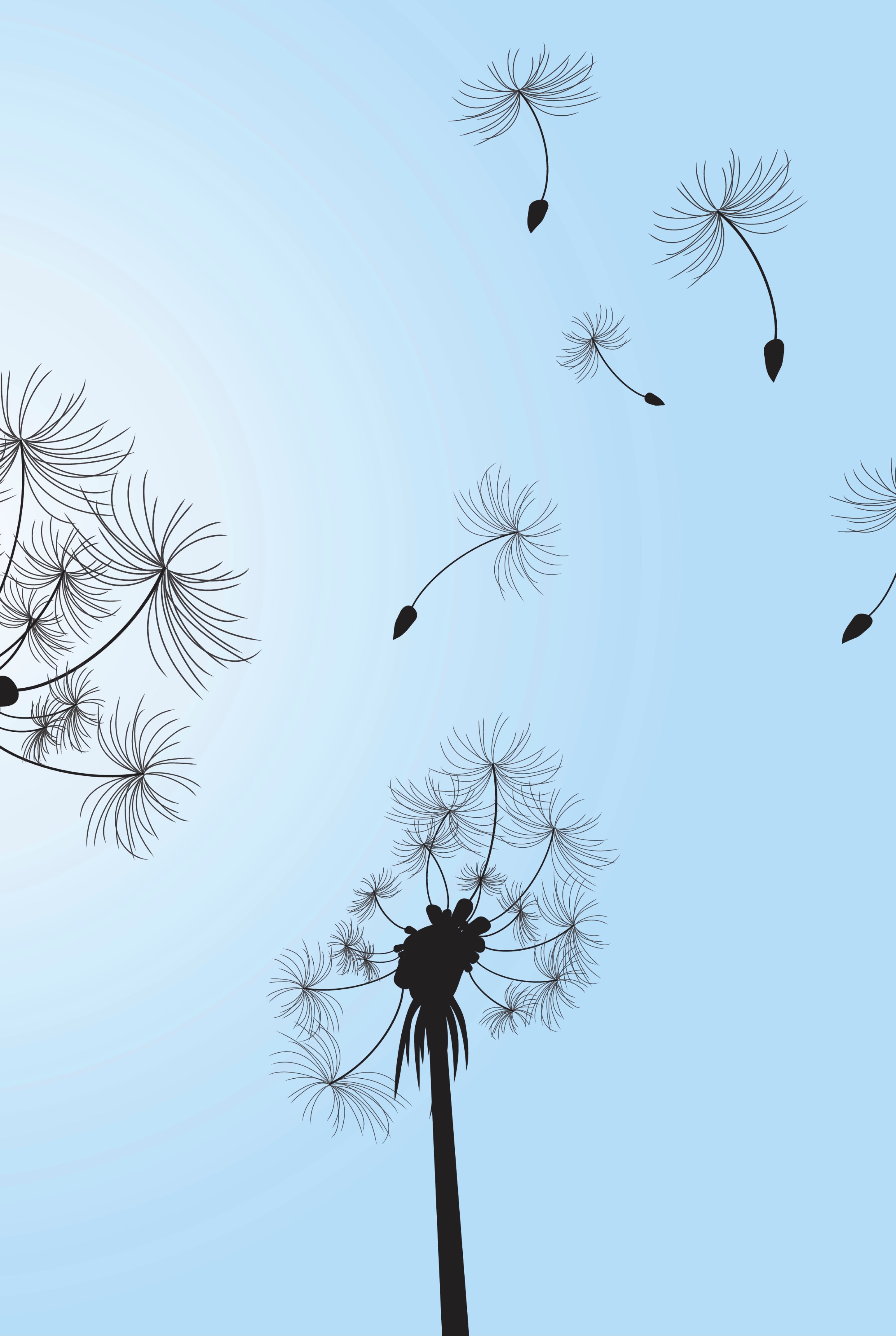 Breeze of wishes
