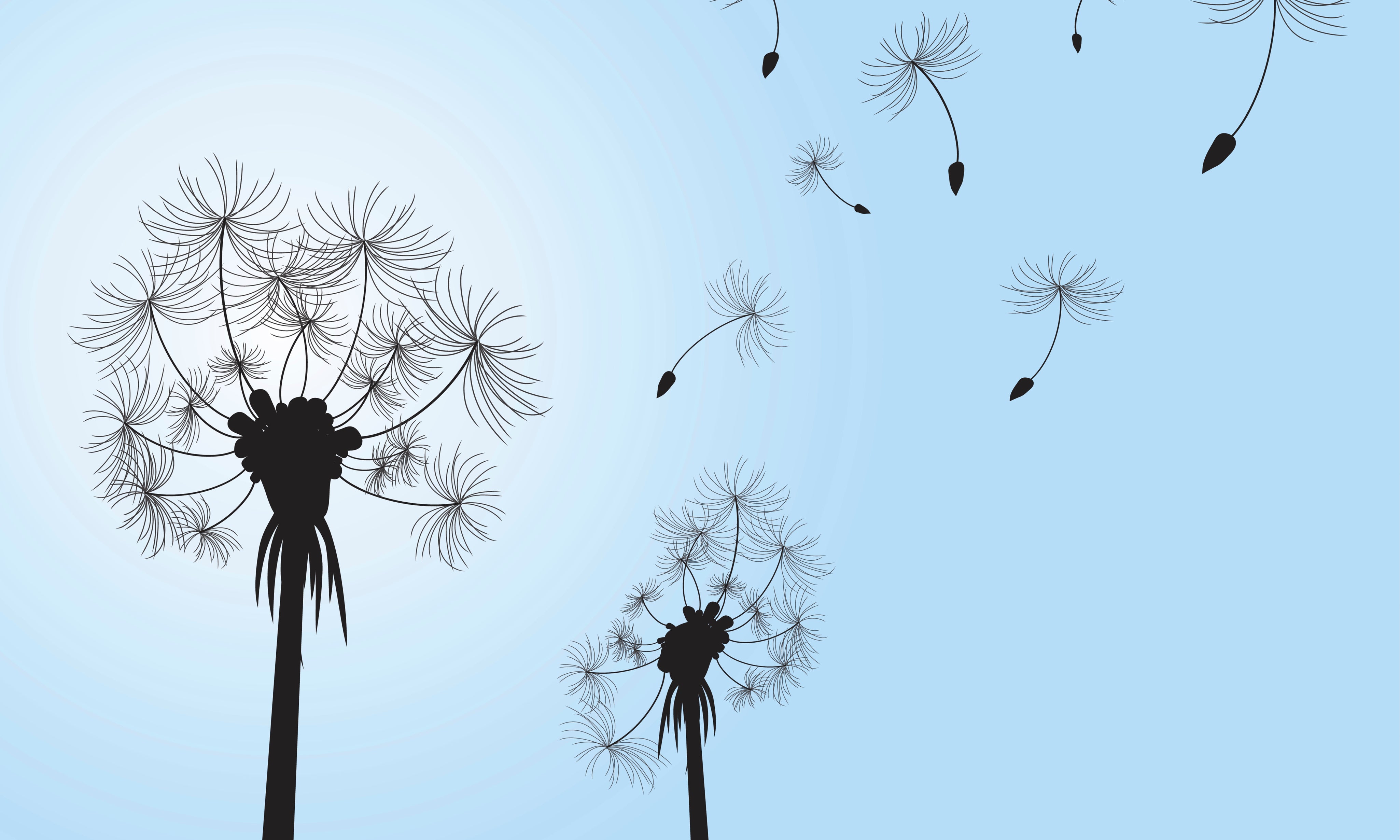 Breezeofwishes-150x100cm.jpg