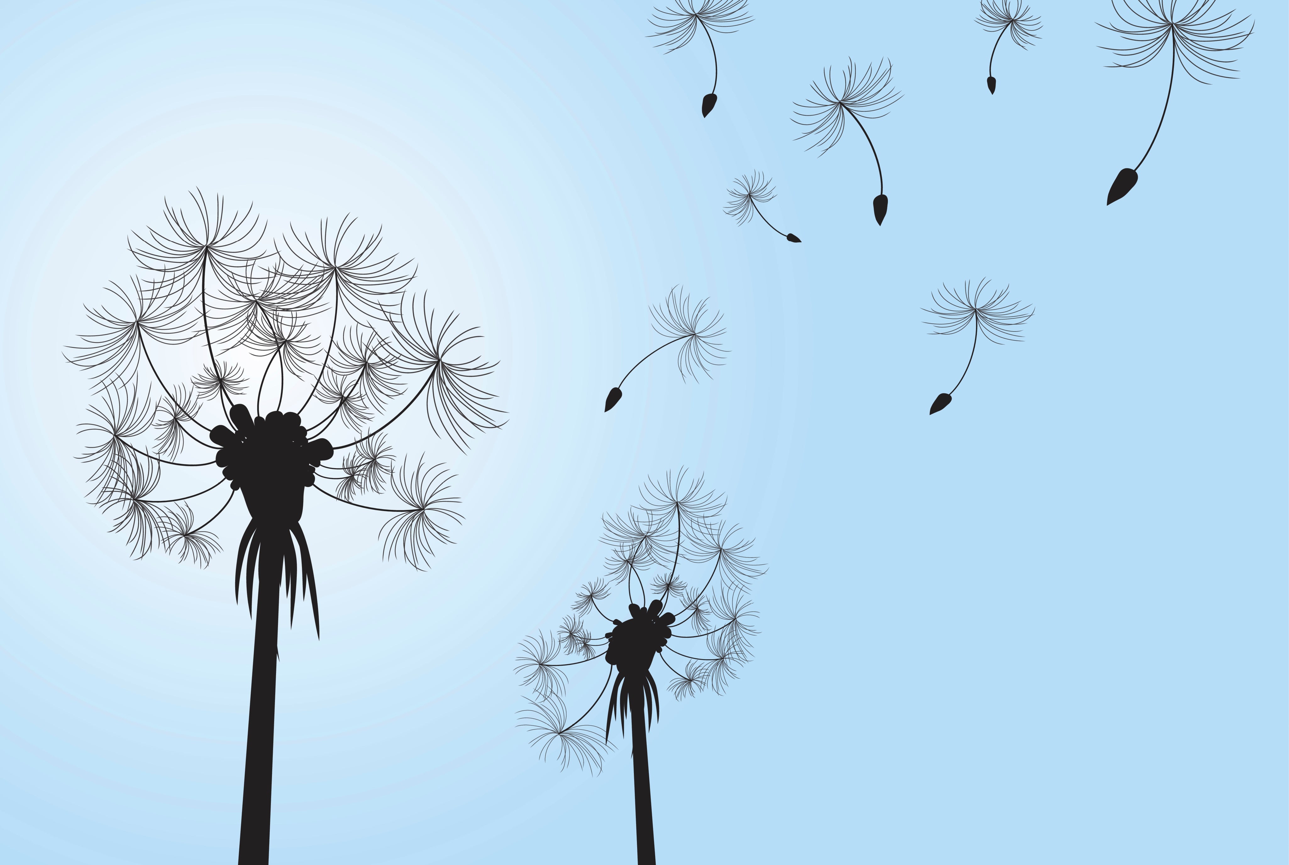 Breezeofwishes-150x100cm.jpg