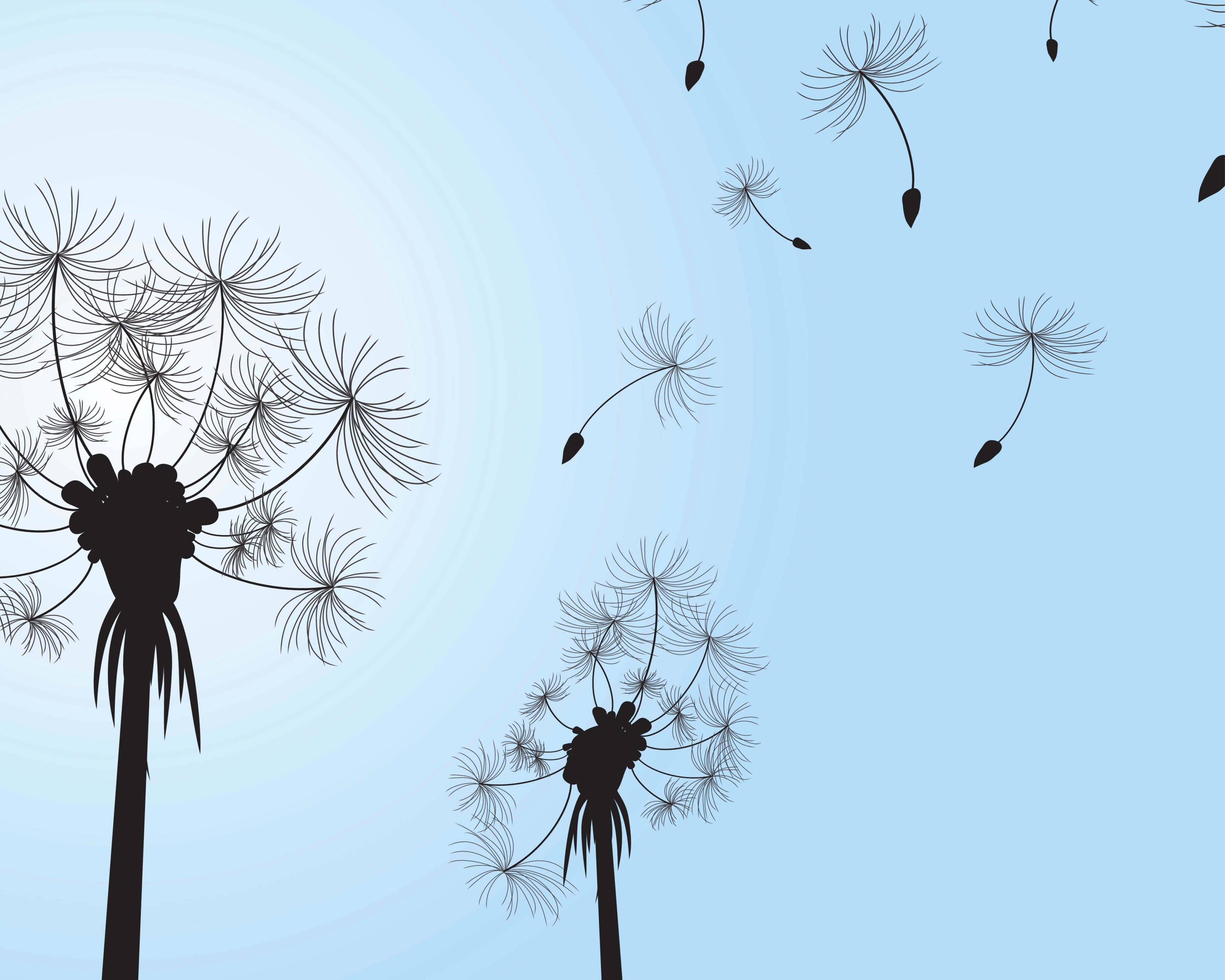 Breezeofwishes-150x150cm.jpg