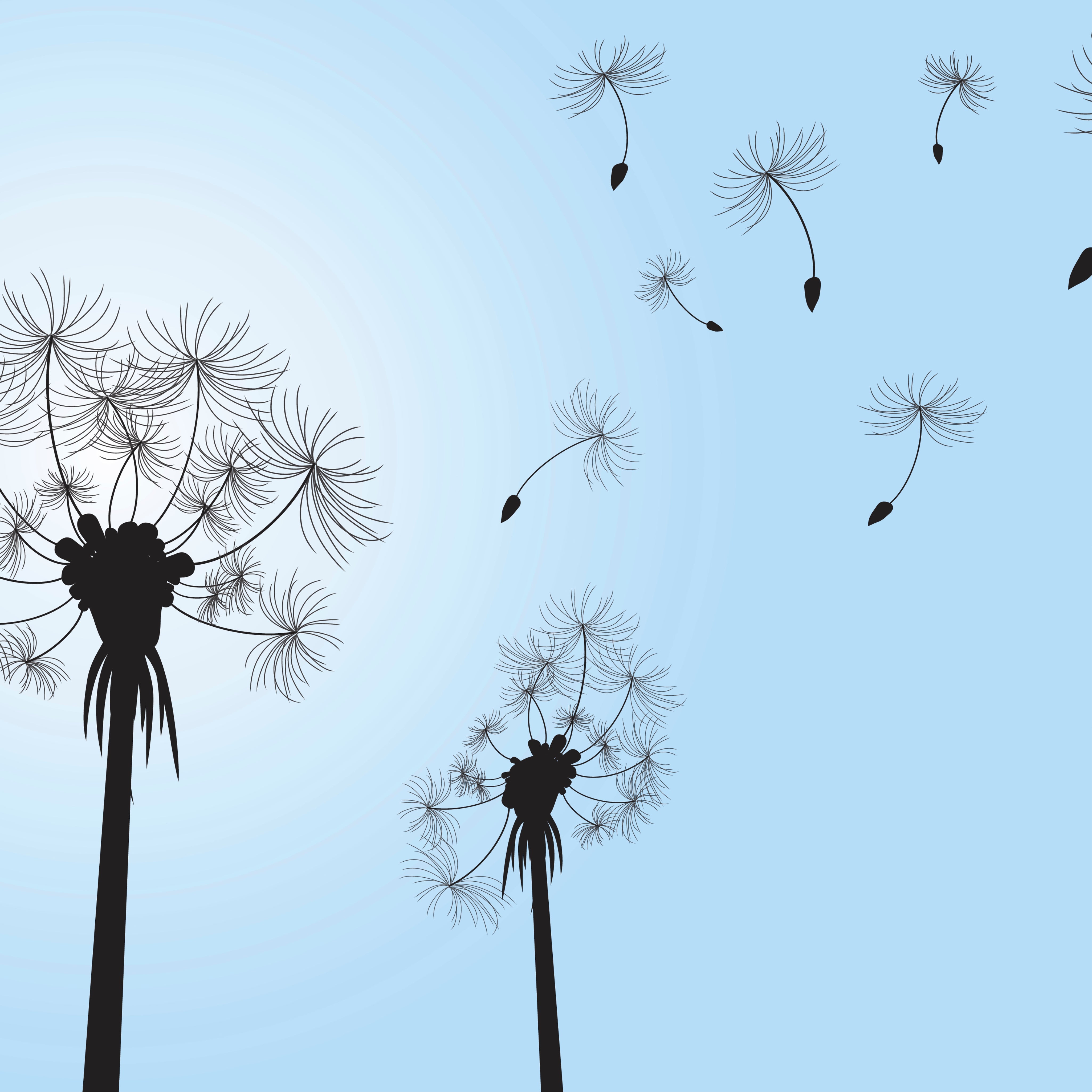 Breeze of wishes
