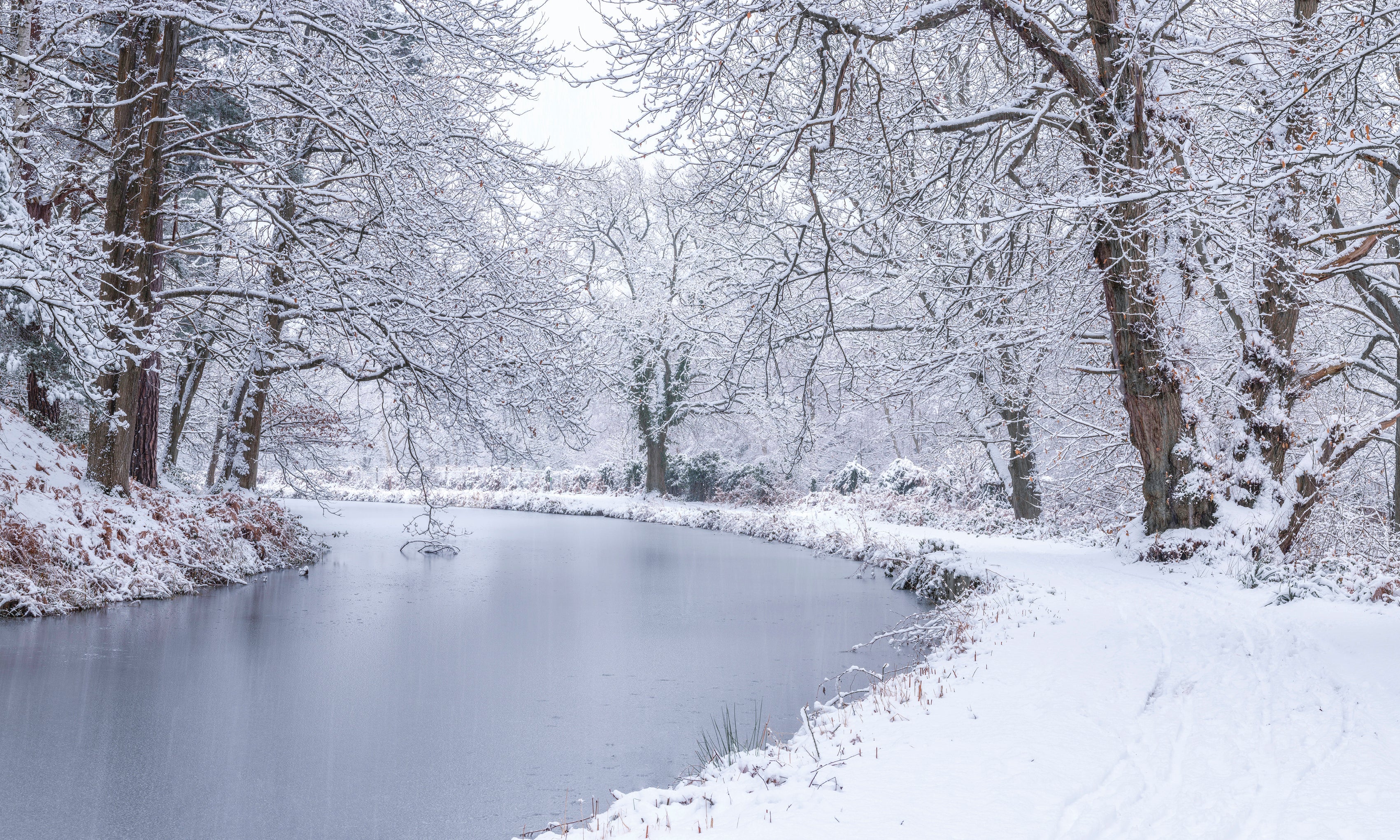 CanalthroughForest-120x80cm.jpg