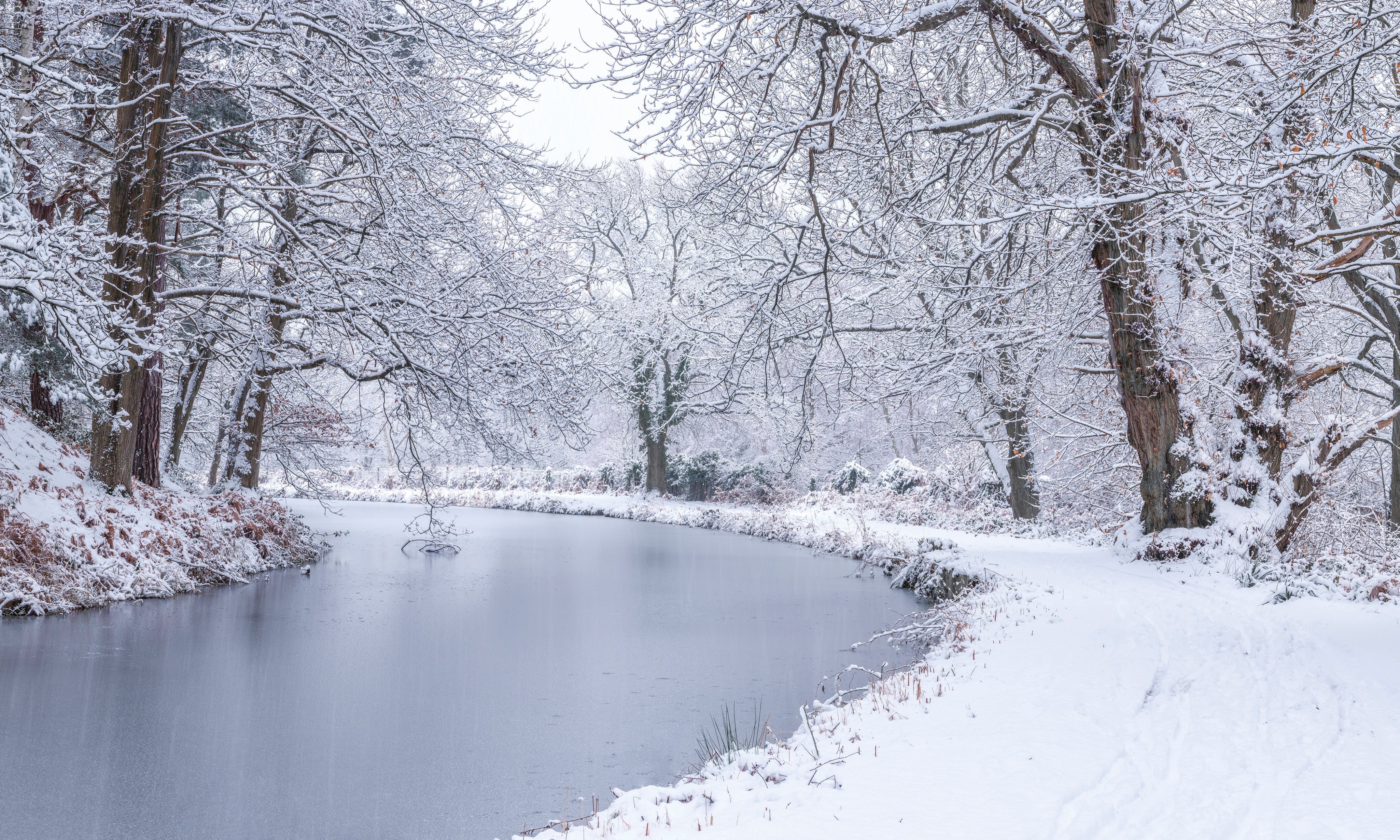 CanalthroughForest-150x100cm.jpg
