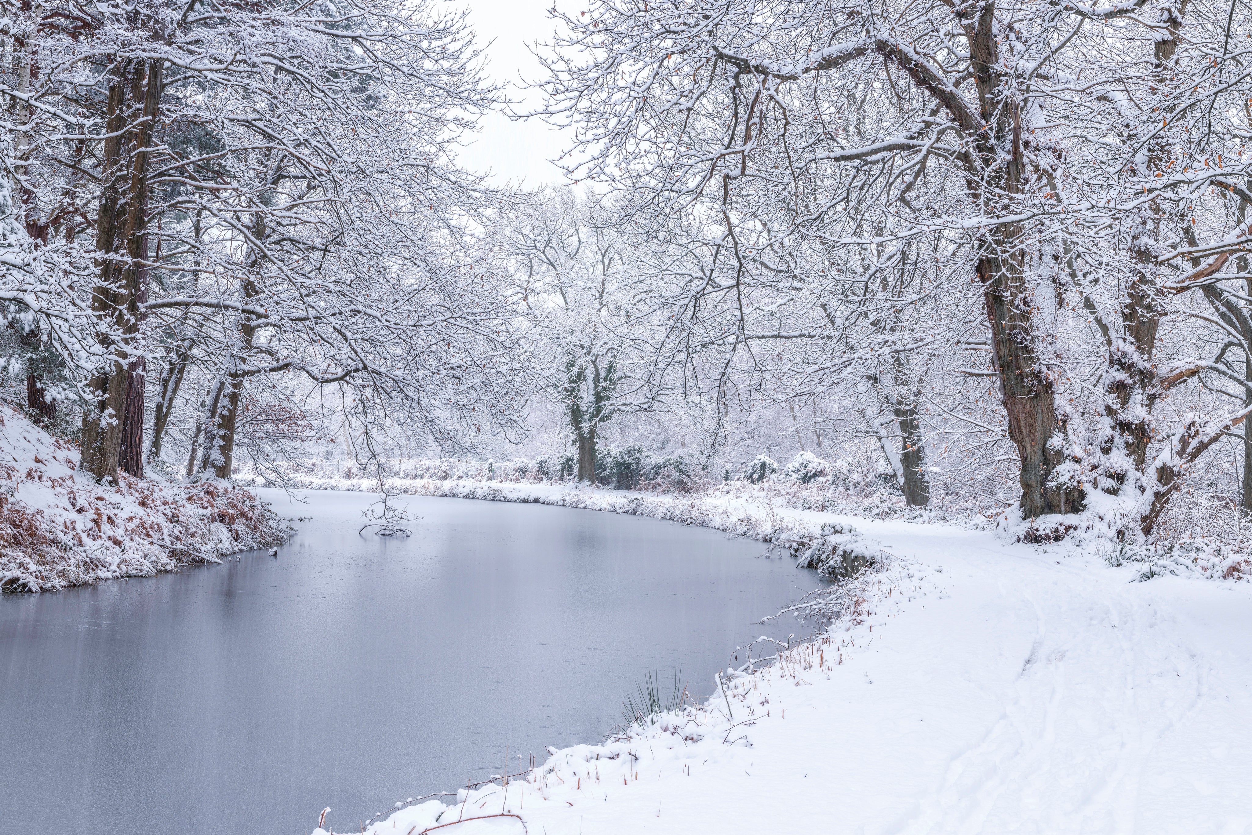 CanalthroughForest-150x100cm.jpg