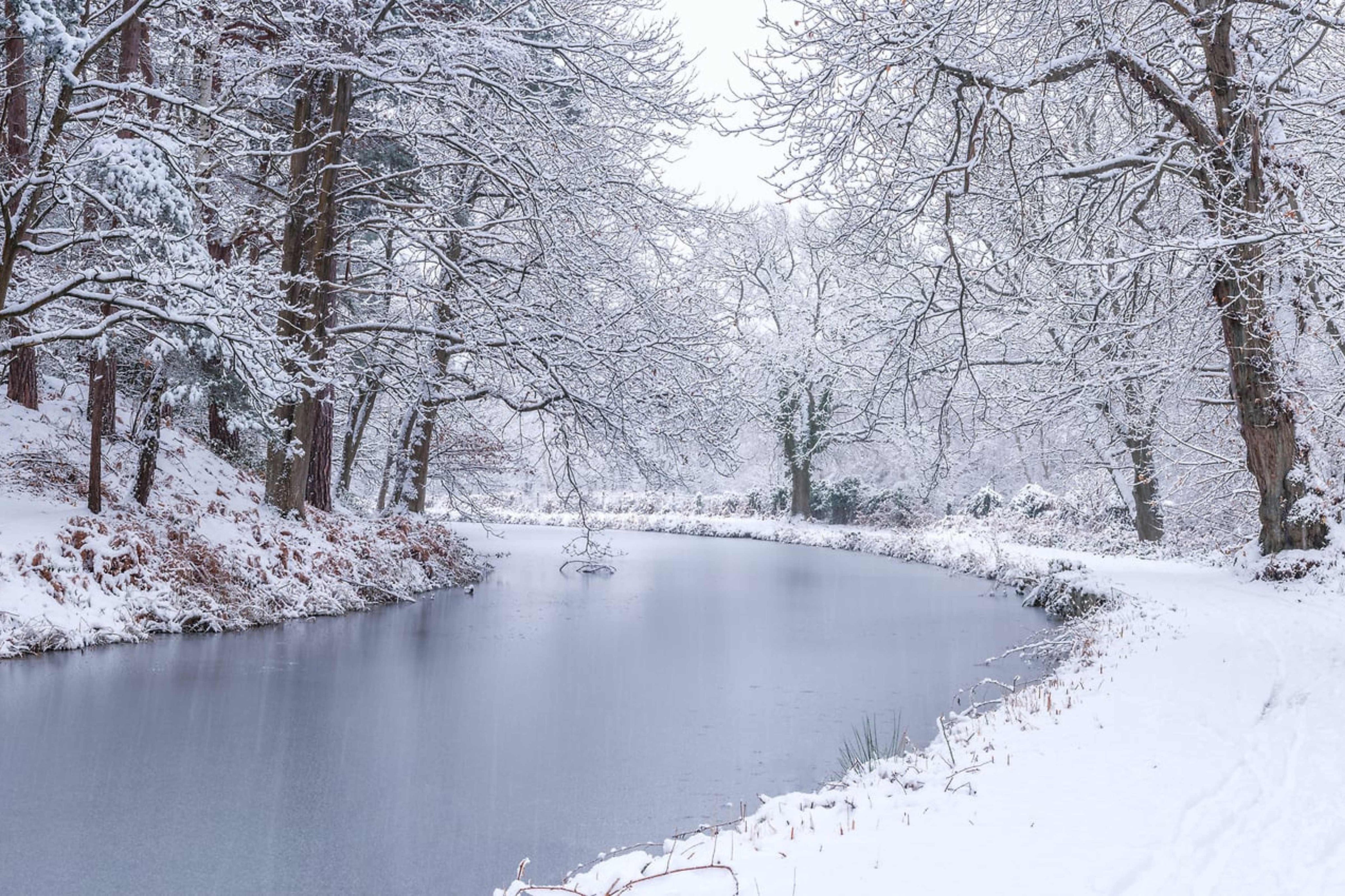 Canal through Forest