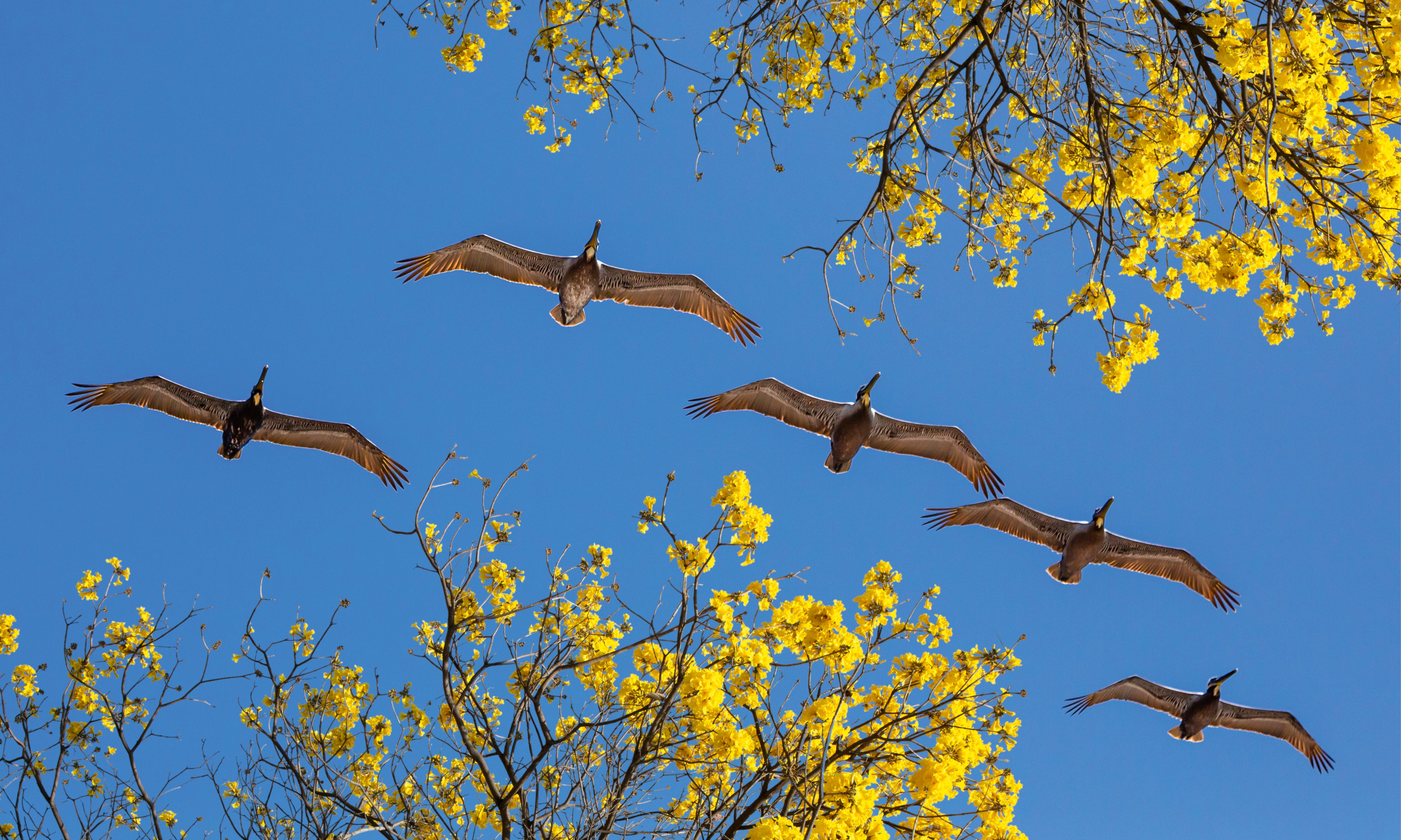 CeilingFramesCollection-Migration-150x100cm.jpg