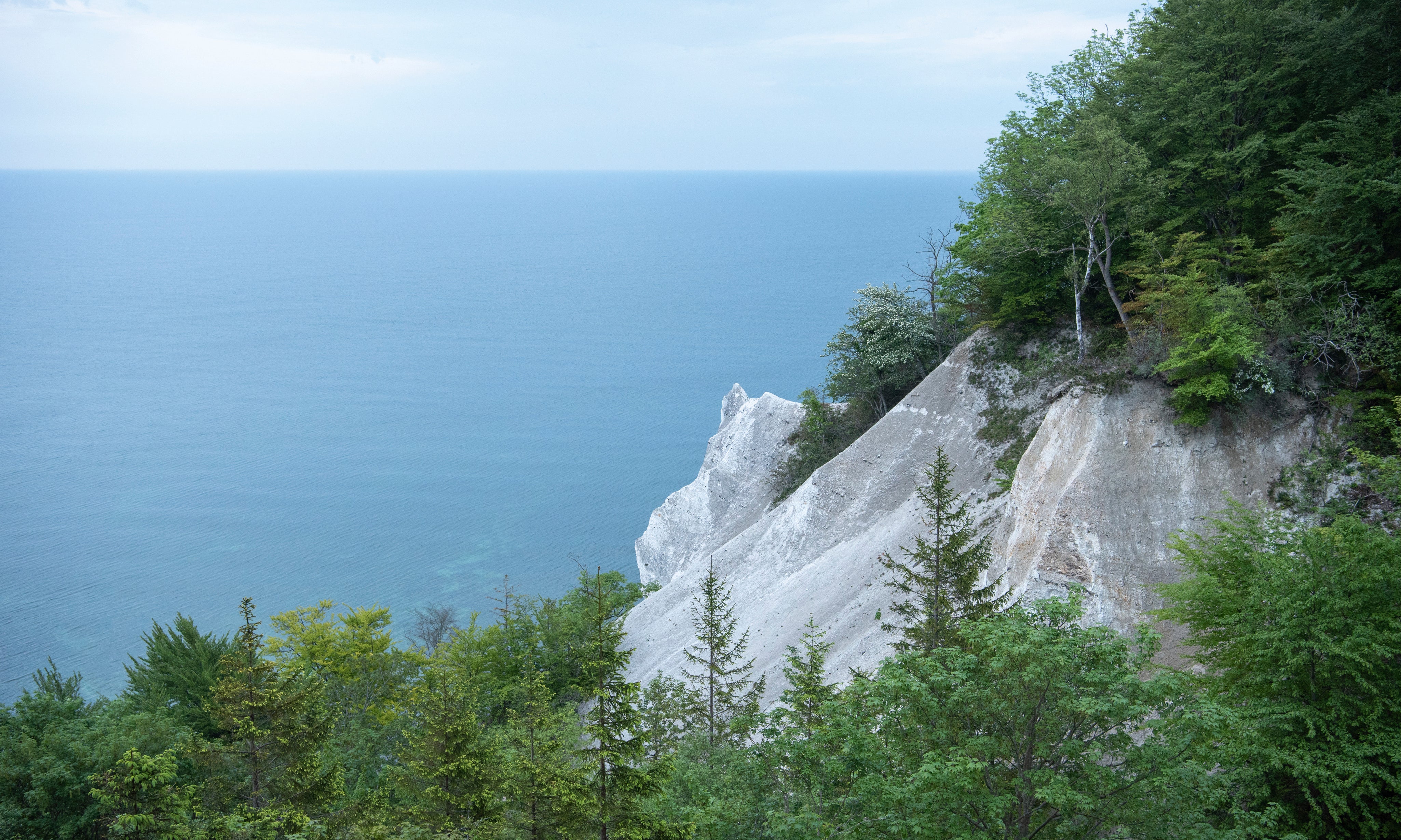 Chalkcliffsatsea_sedge-150x100cm.jpg