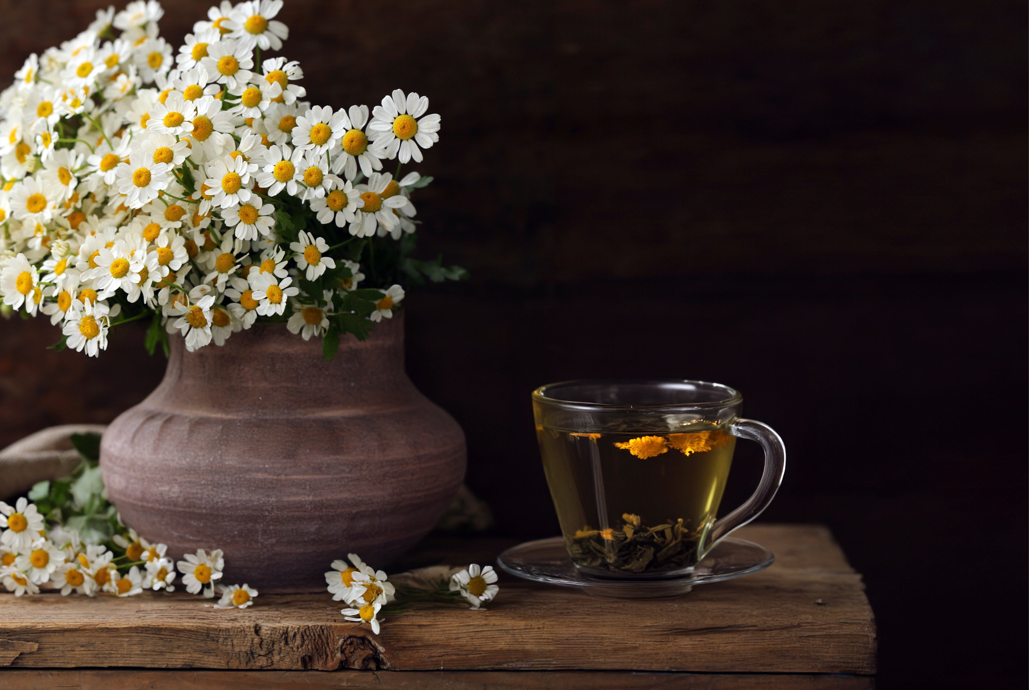 Chamomile calm