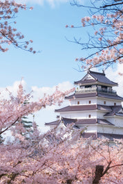 Cherry citadel
