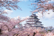Cherry citadel