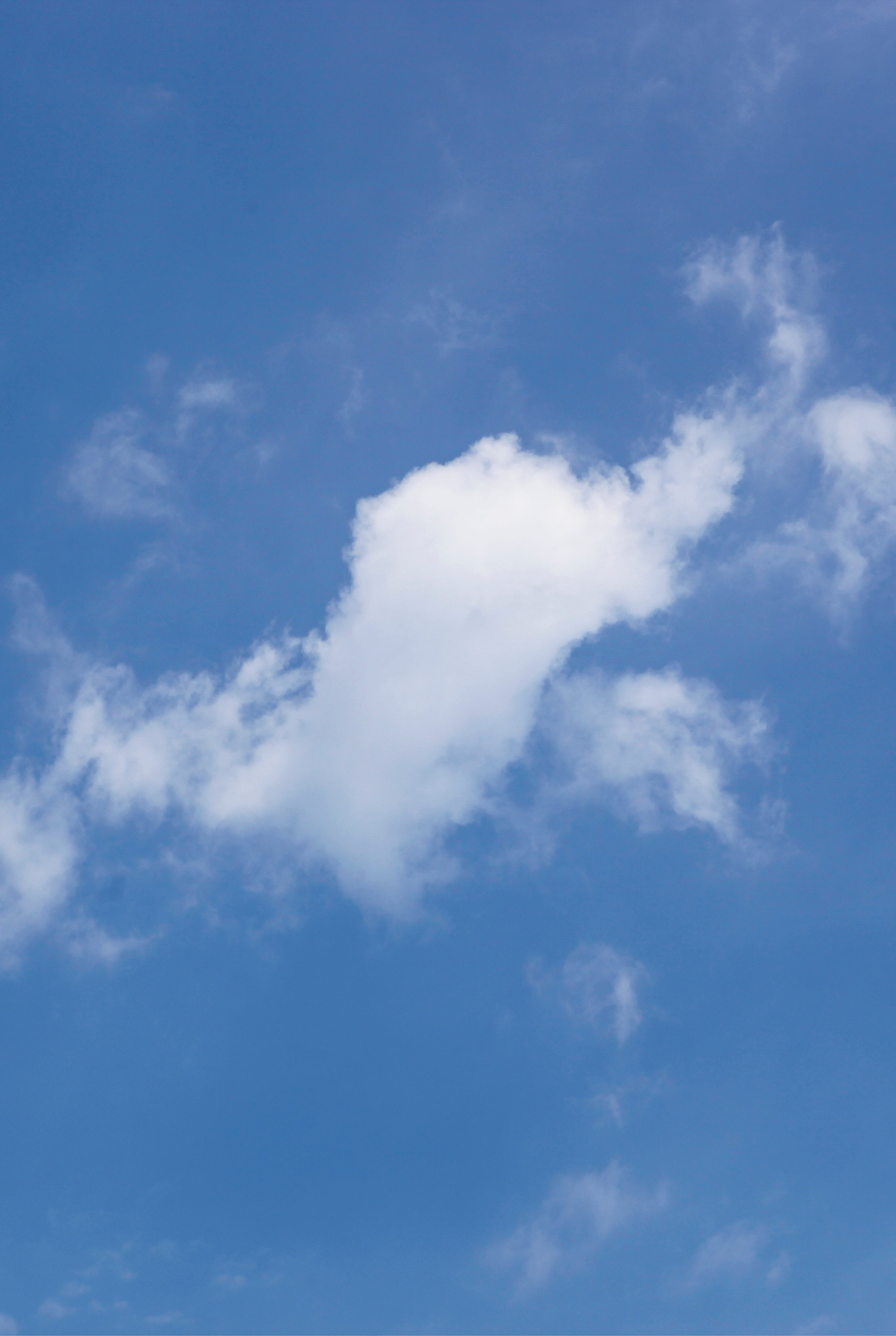 Cloud in motion