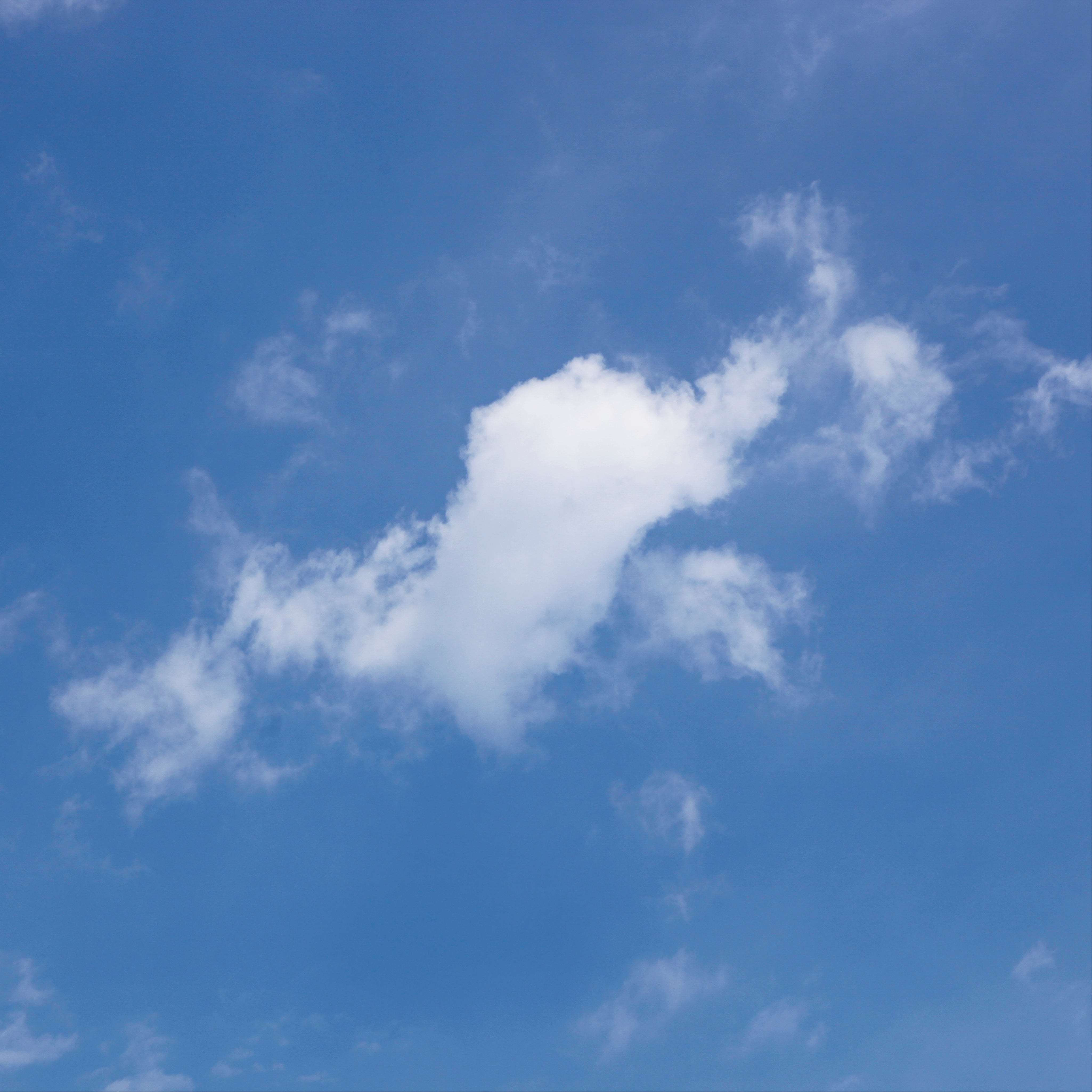Cloud in motion