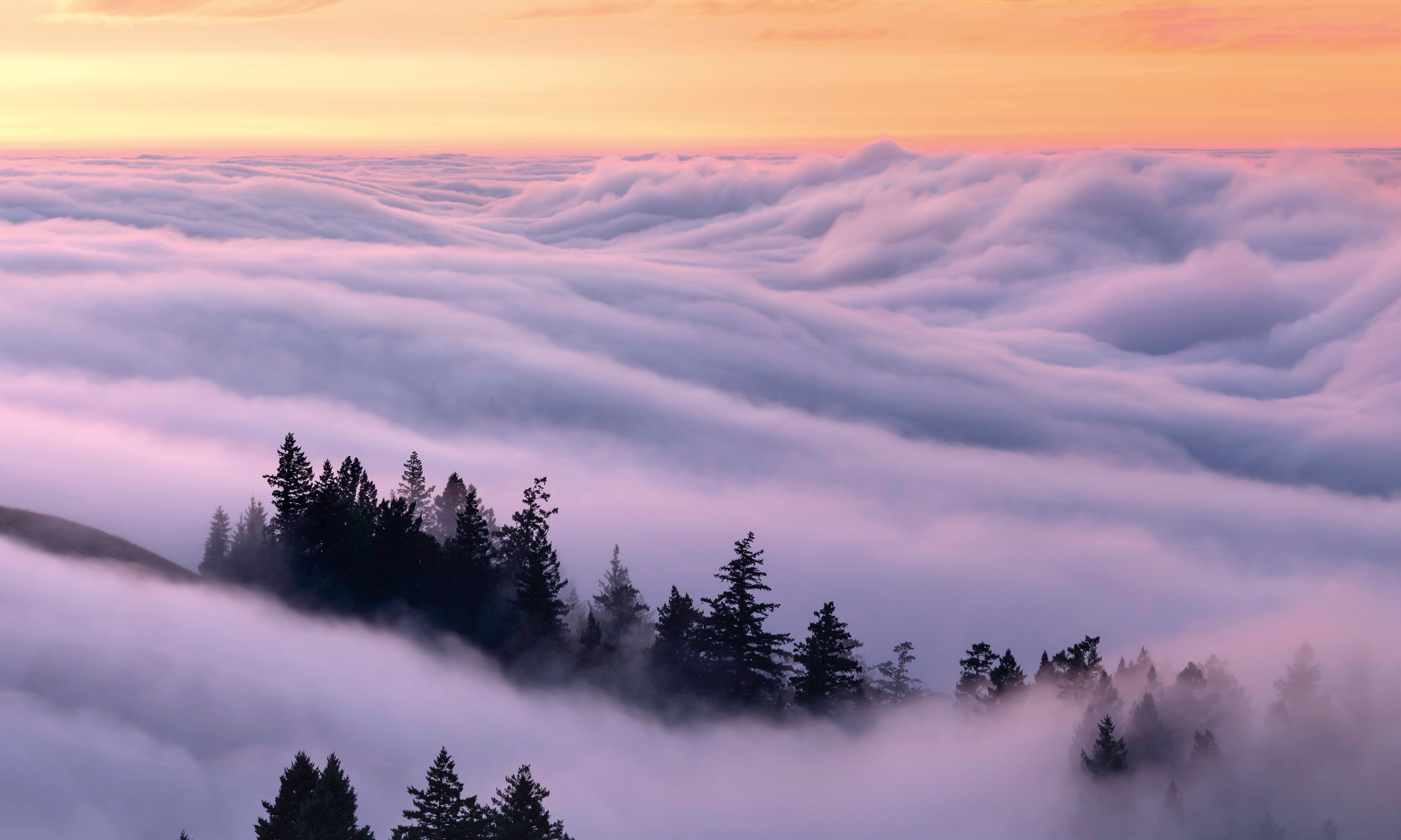 Cloudland-100x150cm.jpg