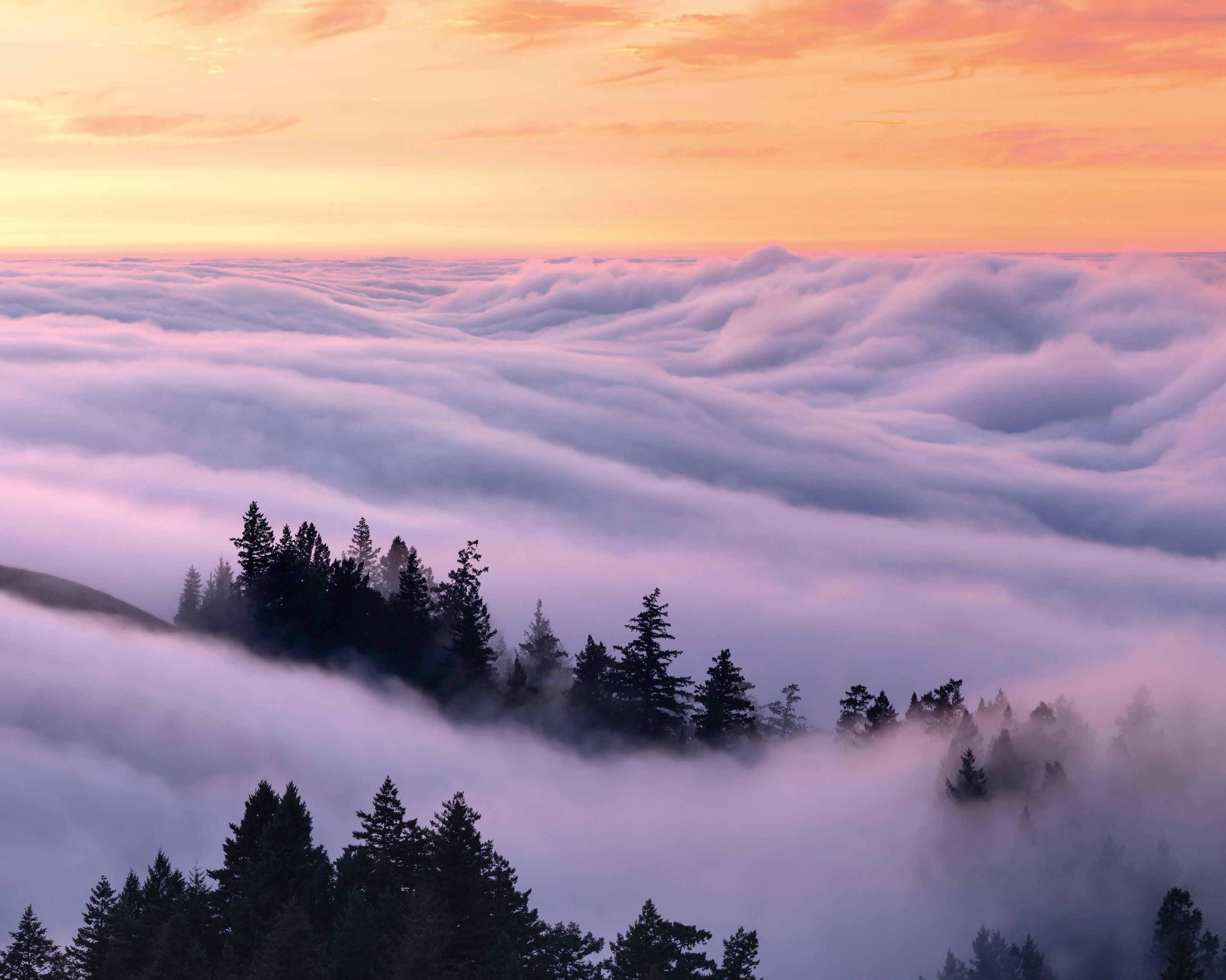 Cloudland-100x150cm.jpg