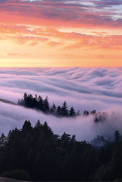 Cloudland
