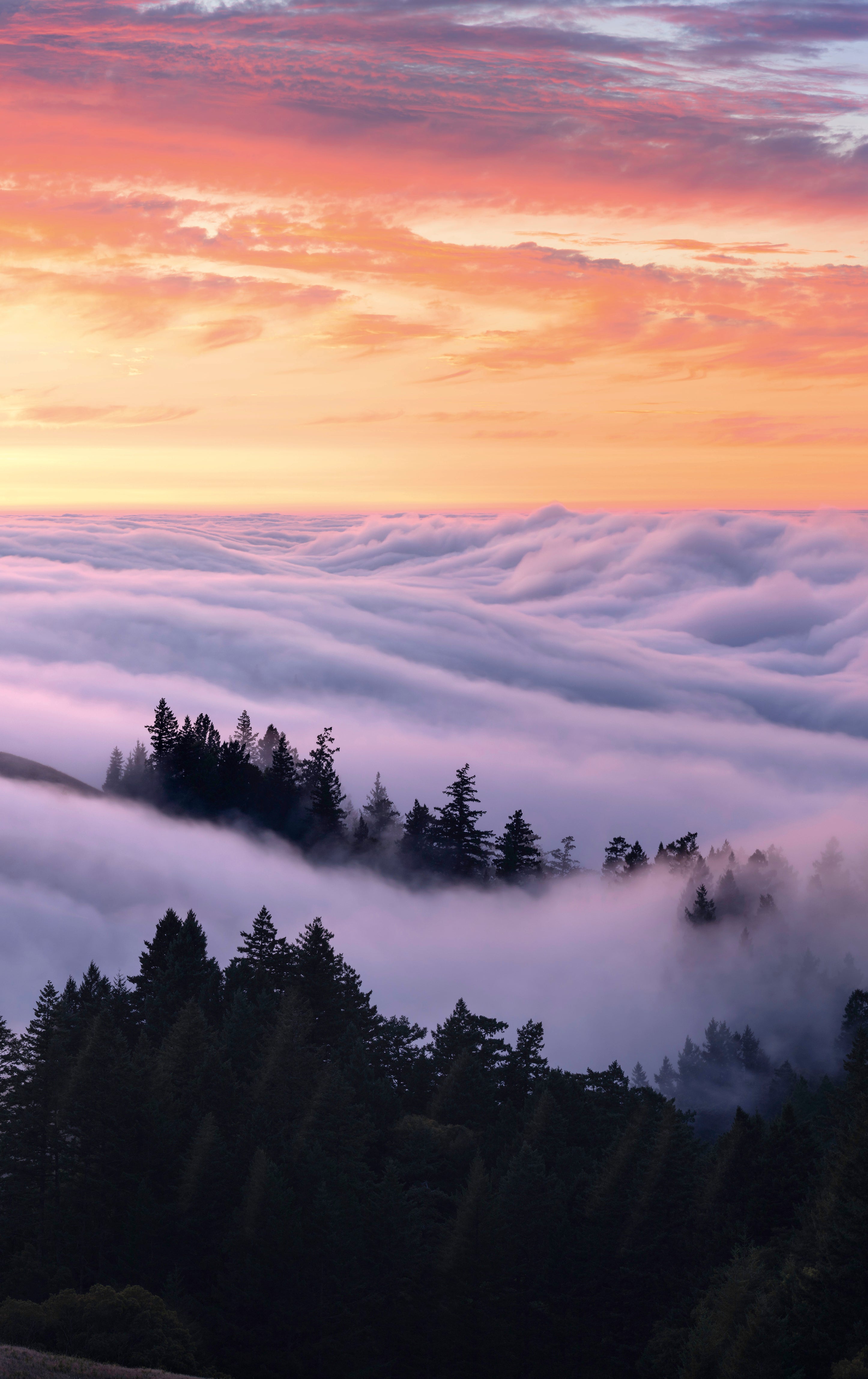 Cloudland