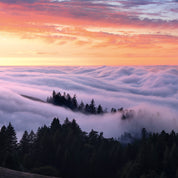 Cloudland