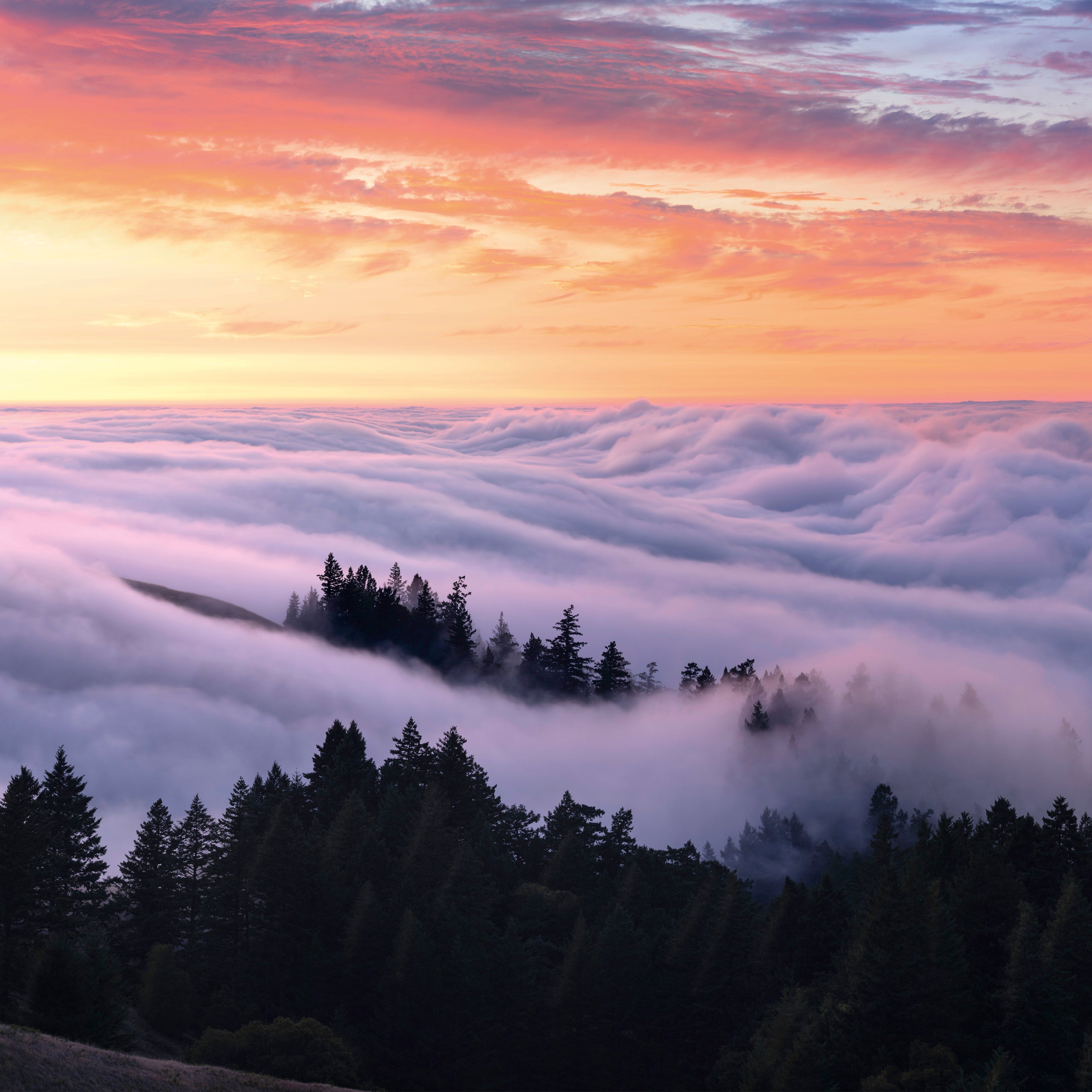 Cloudland