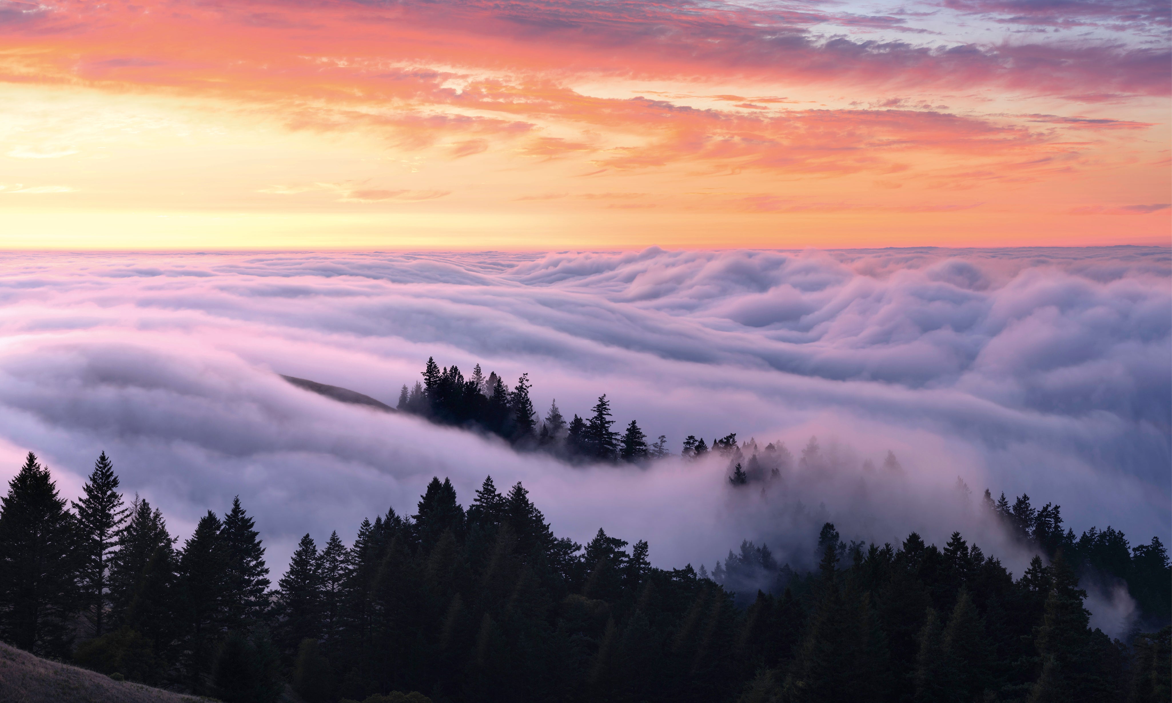 Cloudland-150x100cm.jpg